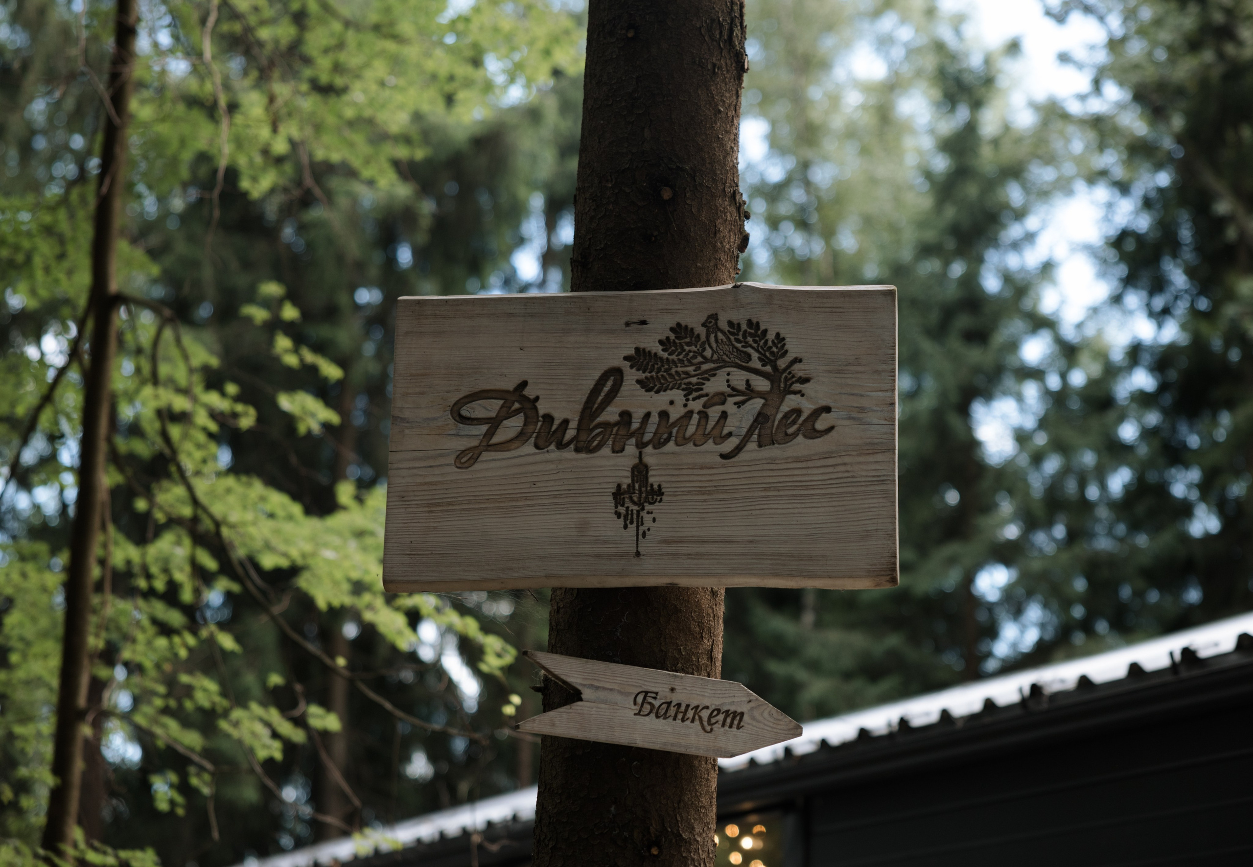 IZUMRUD. Фотограф Наталия Бирюкова