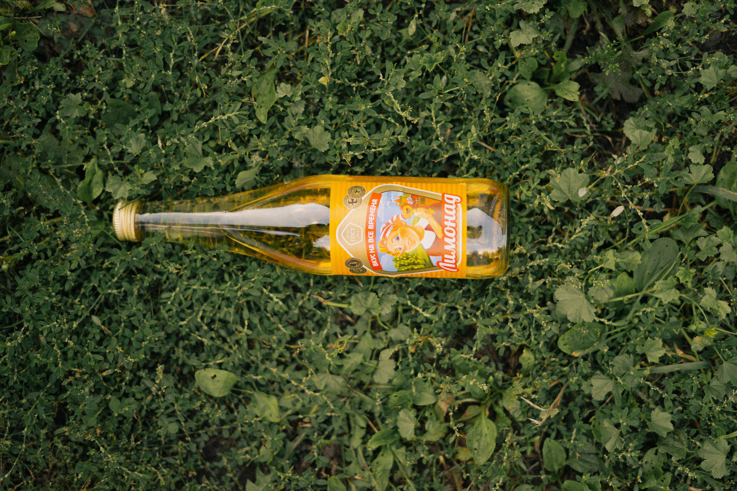 80-90. Фотограф Томск Новосибирск Елизавета Вахтеева