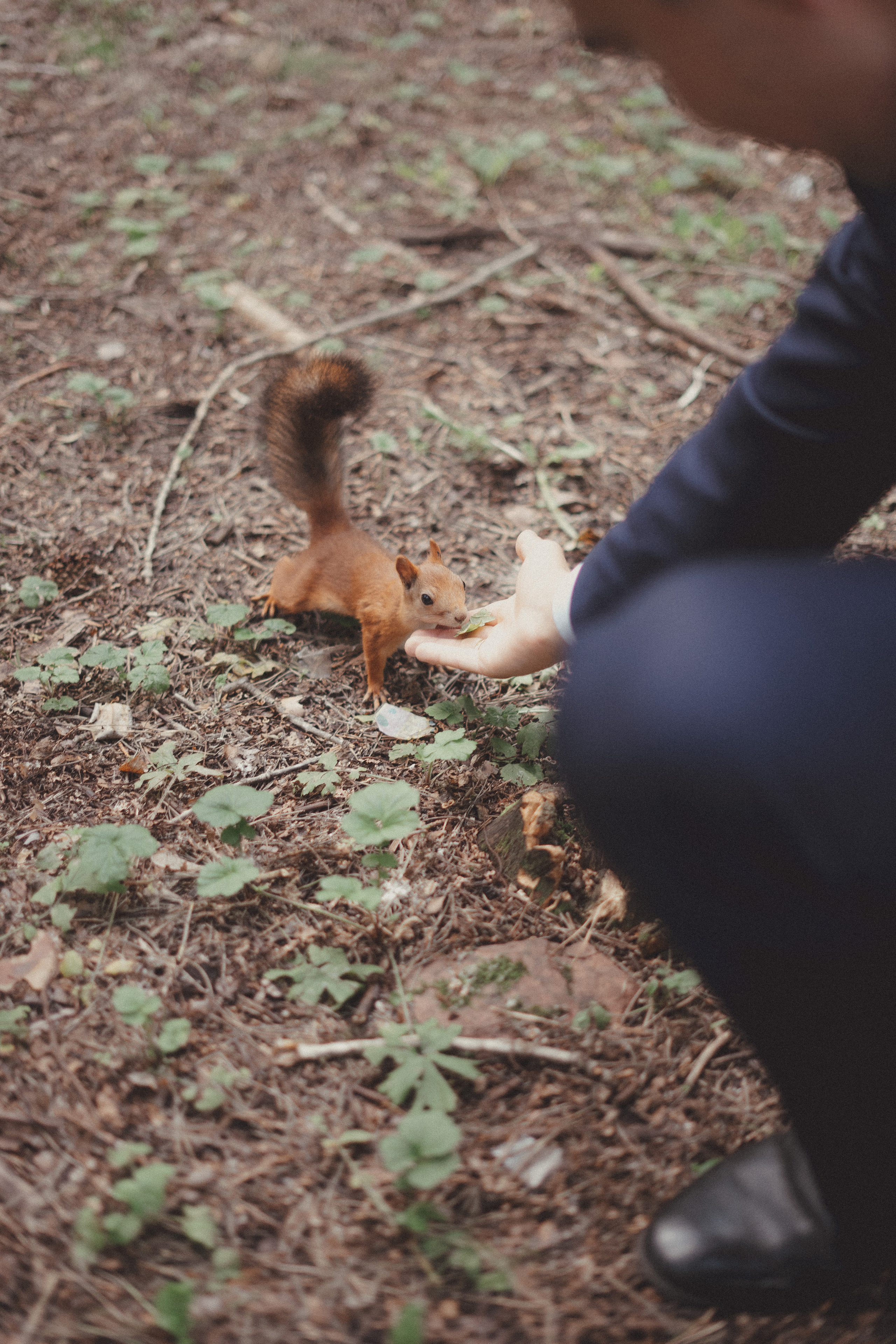 Арина Лёша. Фотограф Томск Новосибирск Елизавета Вахтеева