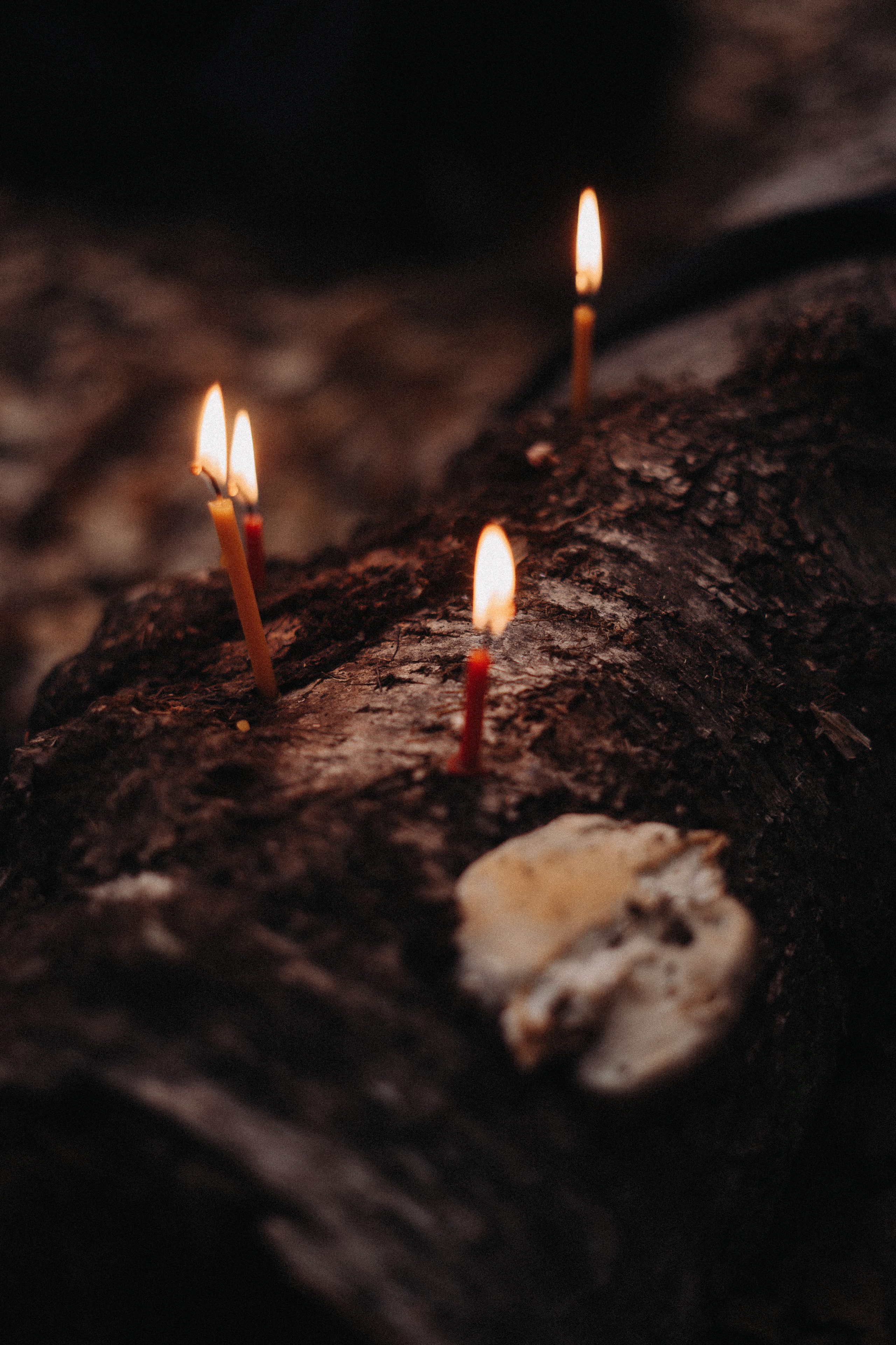 Бал ведьм. Фотограф Томск Новосибирск Елизавета Вахтеева