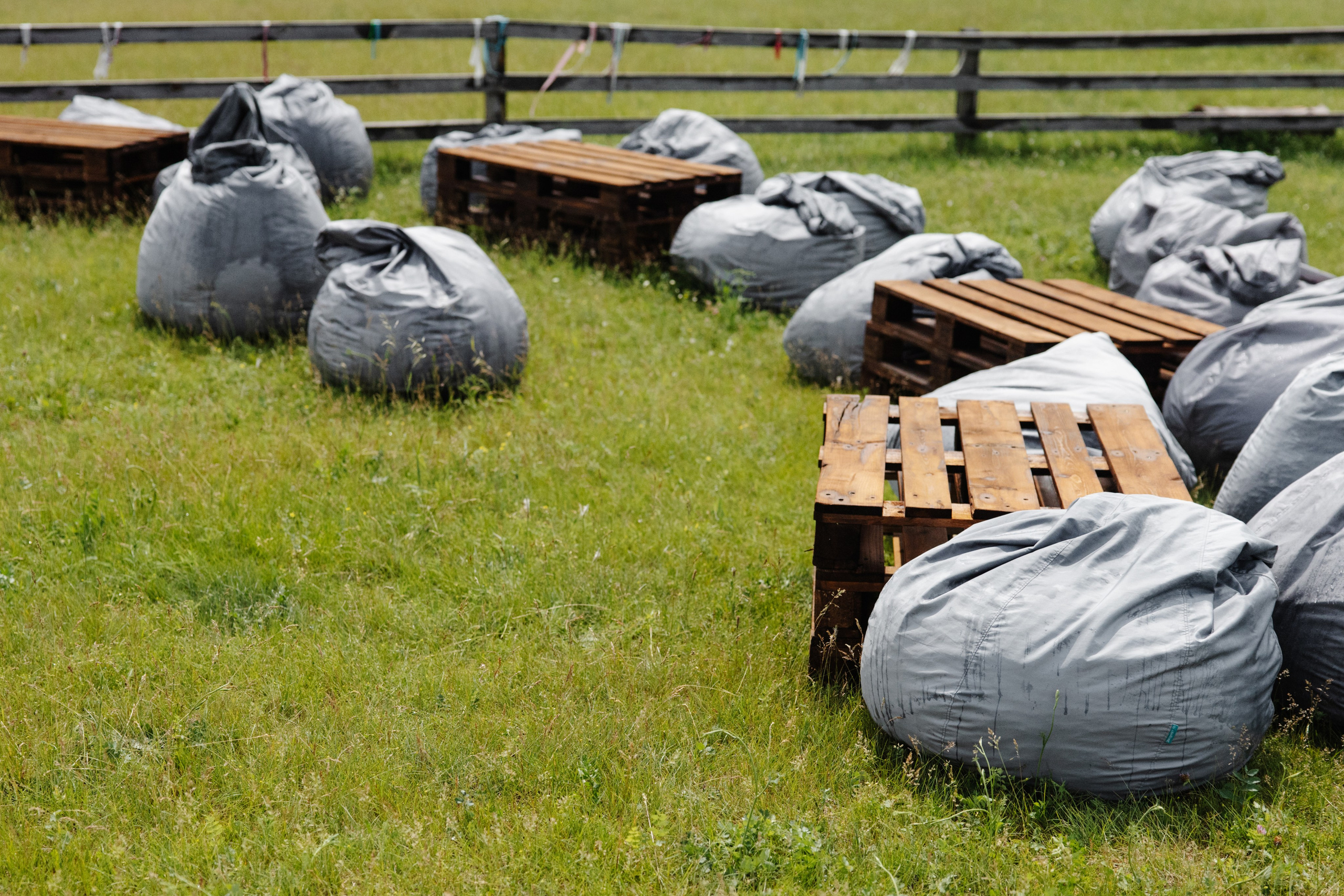 ГЕНДЕР ПАТИ. Фотограф в Красноярске