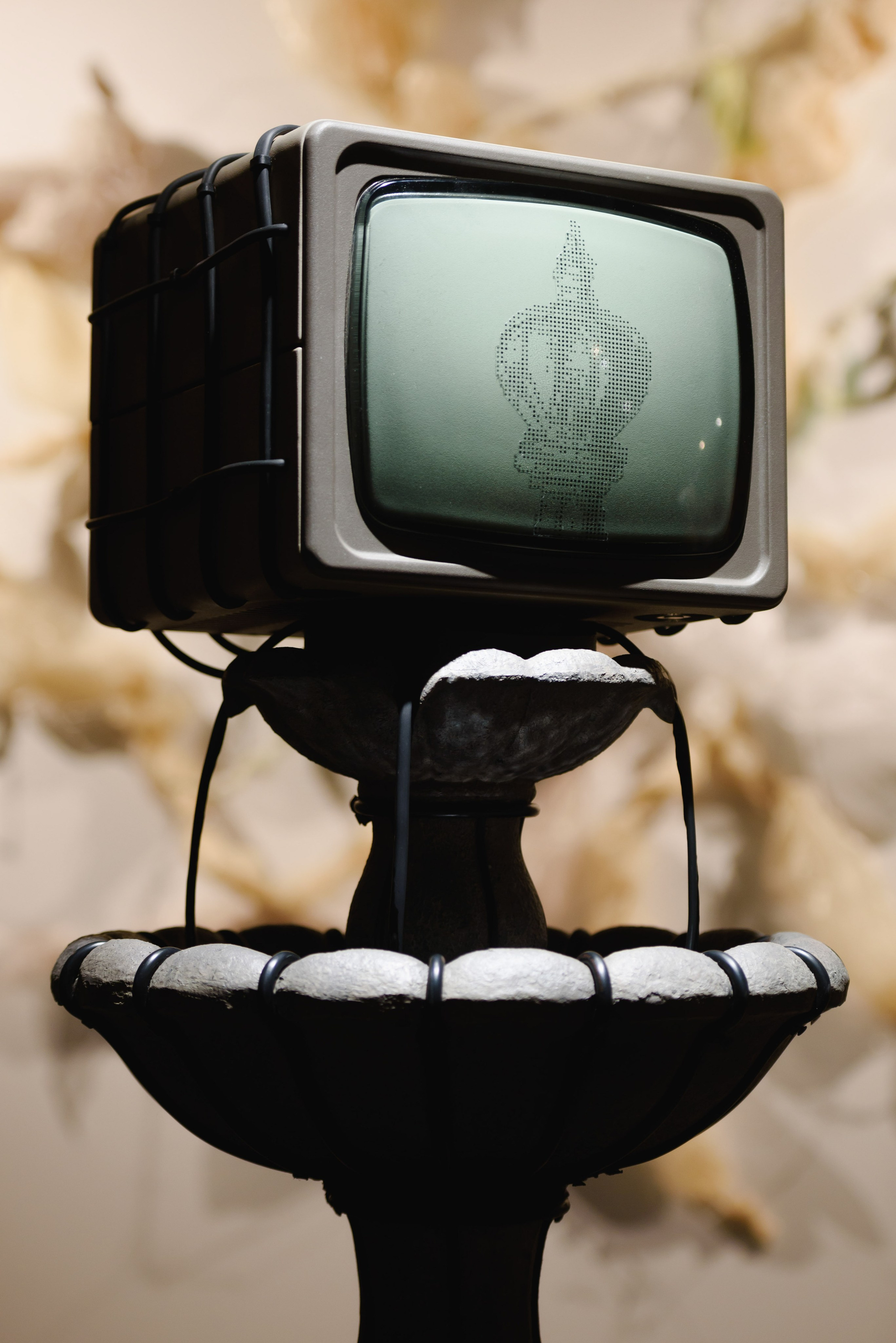 Выставки. Фотограф Руслан Хафизов