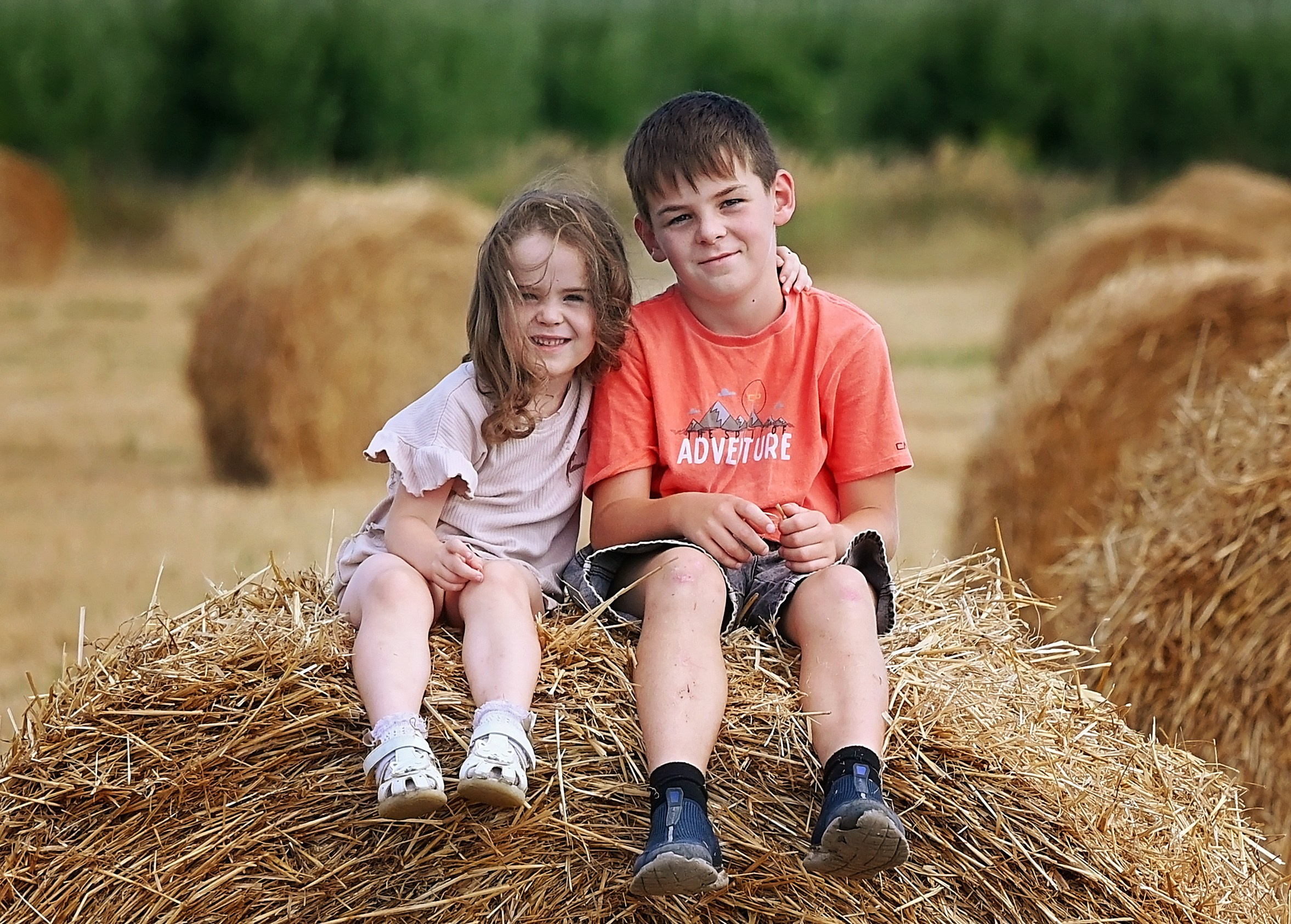 Сено. Главная