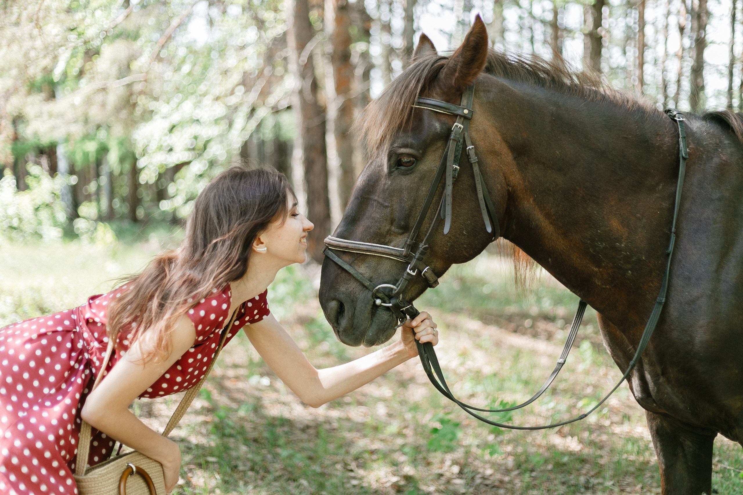 Фотосессии в Анкоре. Конные прогулки в клубе «Анкор» — Омск