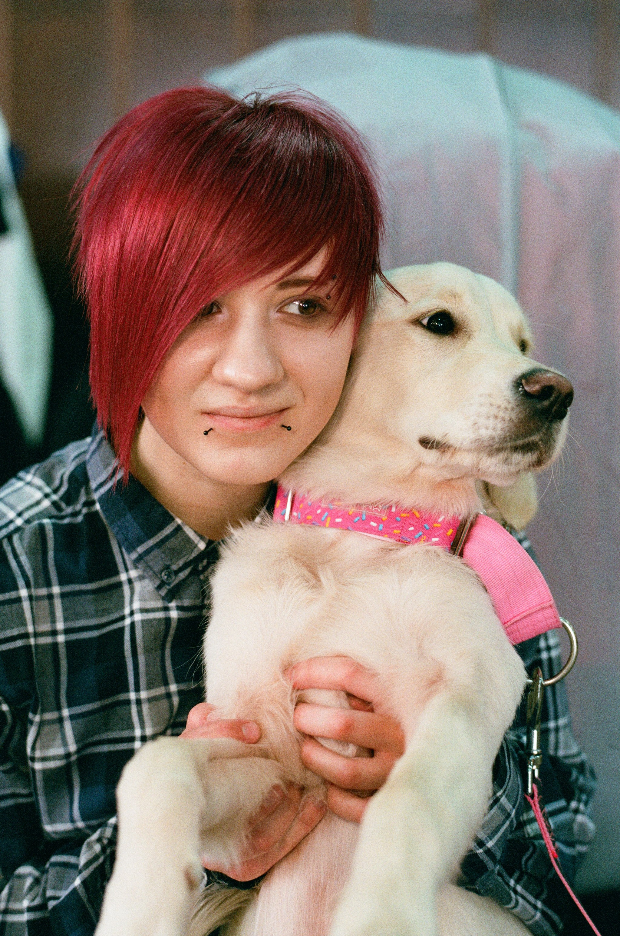 КиВиН-2024. #спецкорНвер