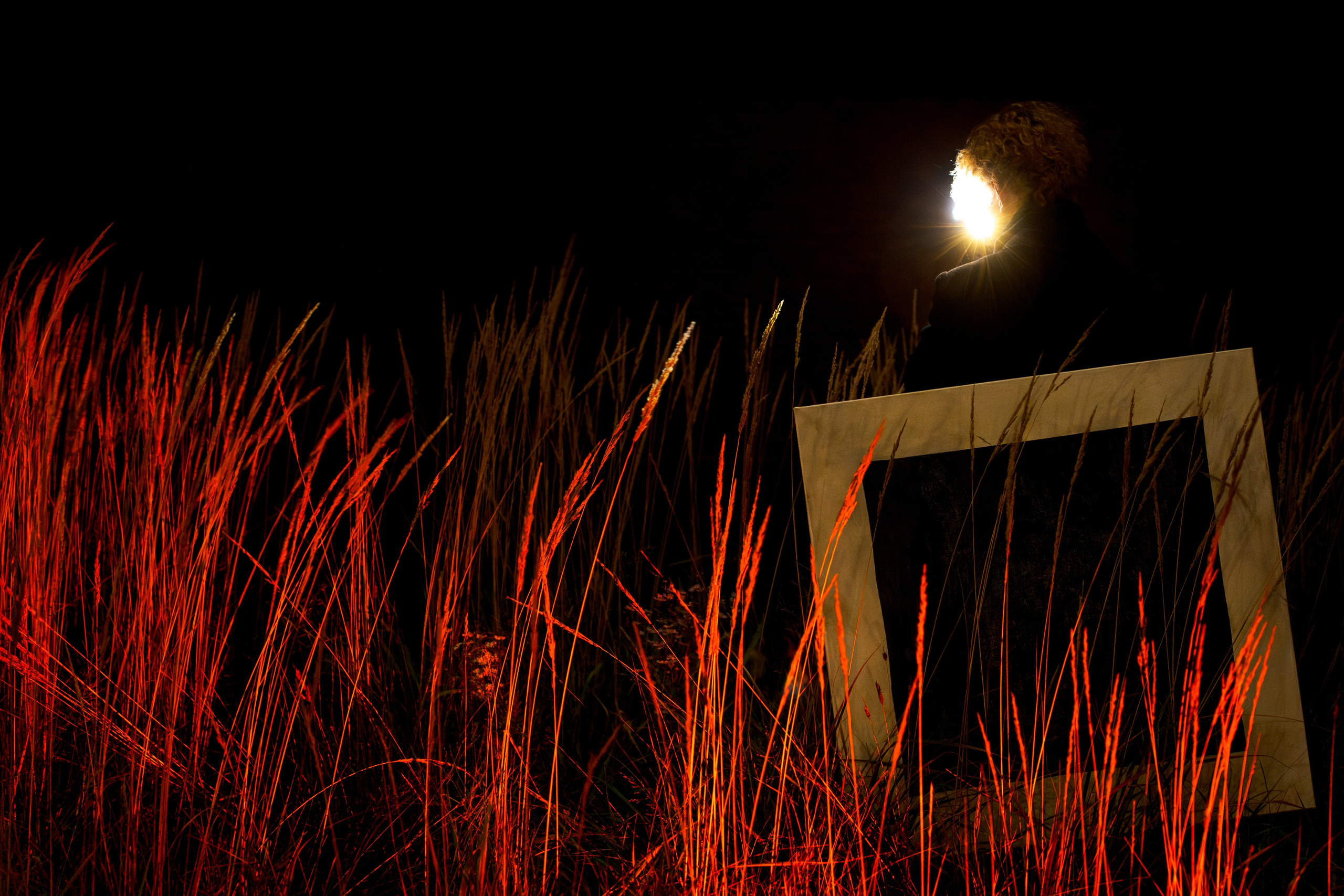 Polypolarphotography