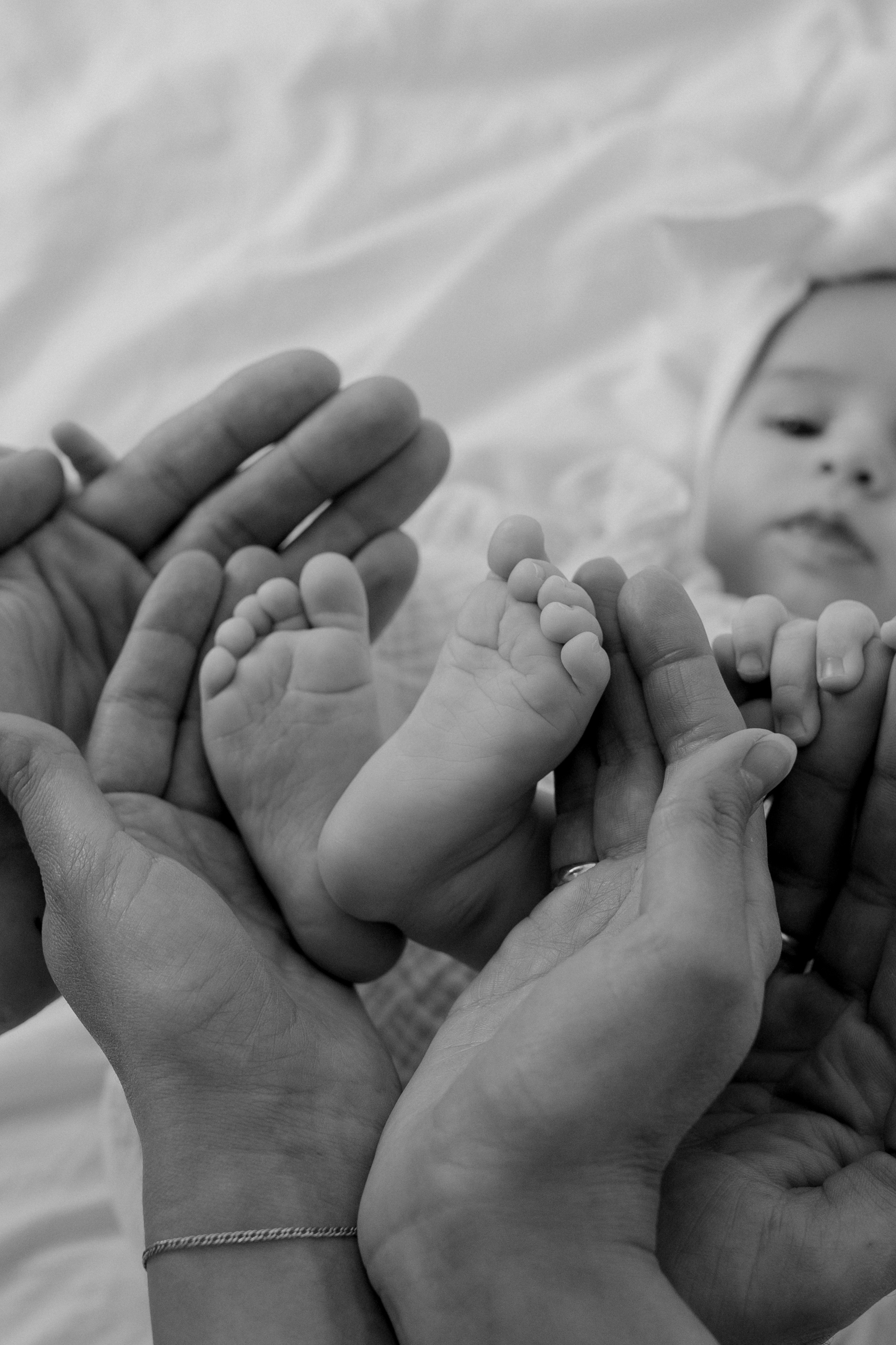 Семья Лилии. Главная