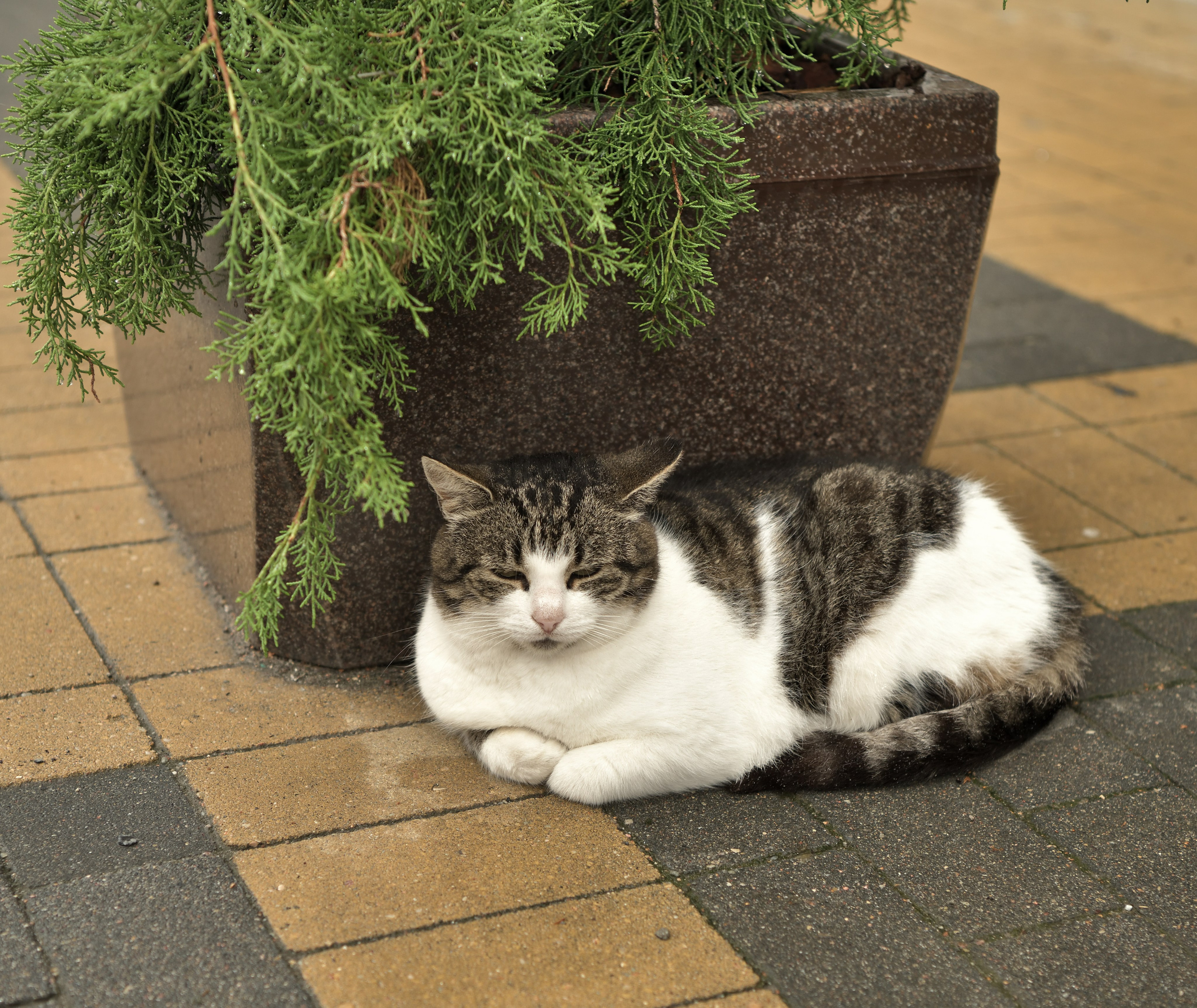 Калининград. Сергей Люльченко фотоальбом