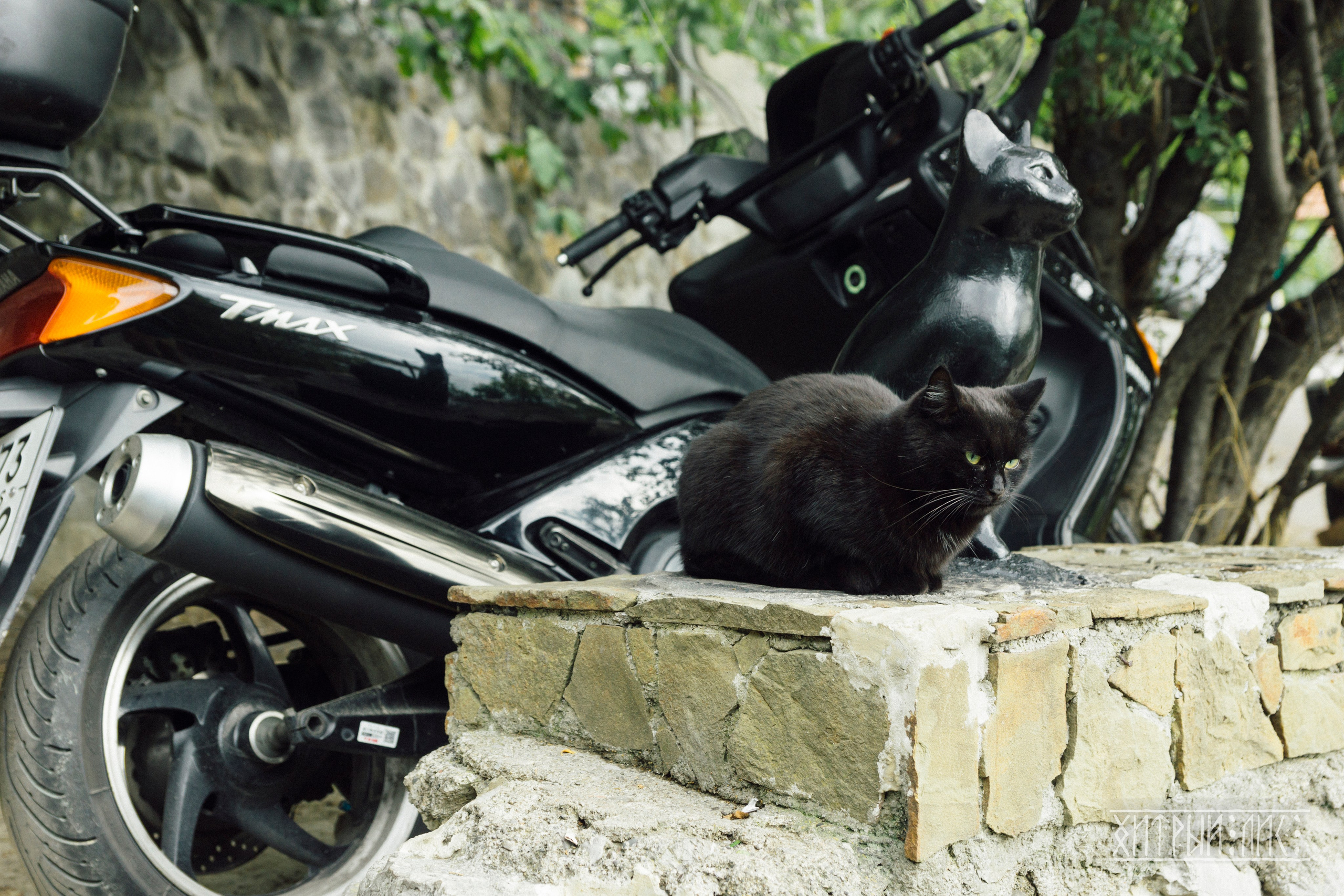 Крым. Фотограф-путешественник Самойлов Максим «Sly Fox»