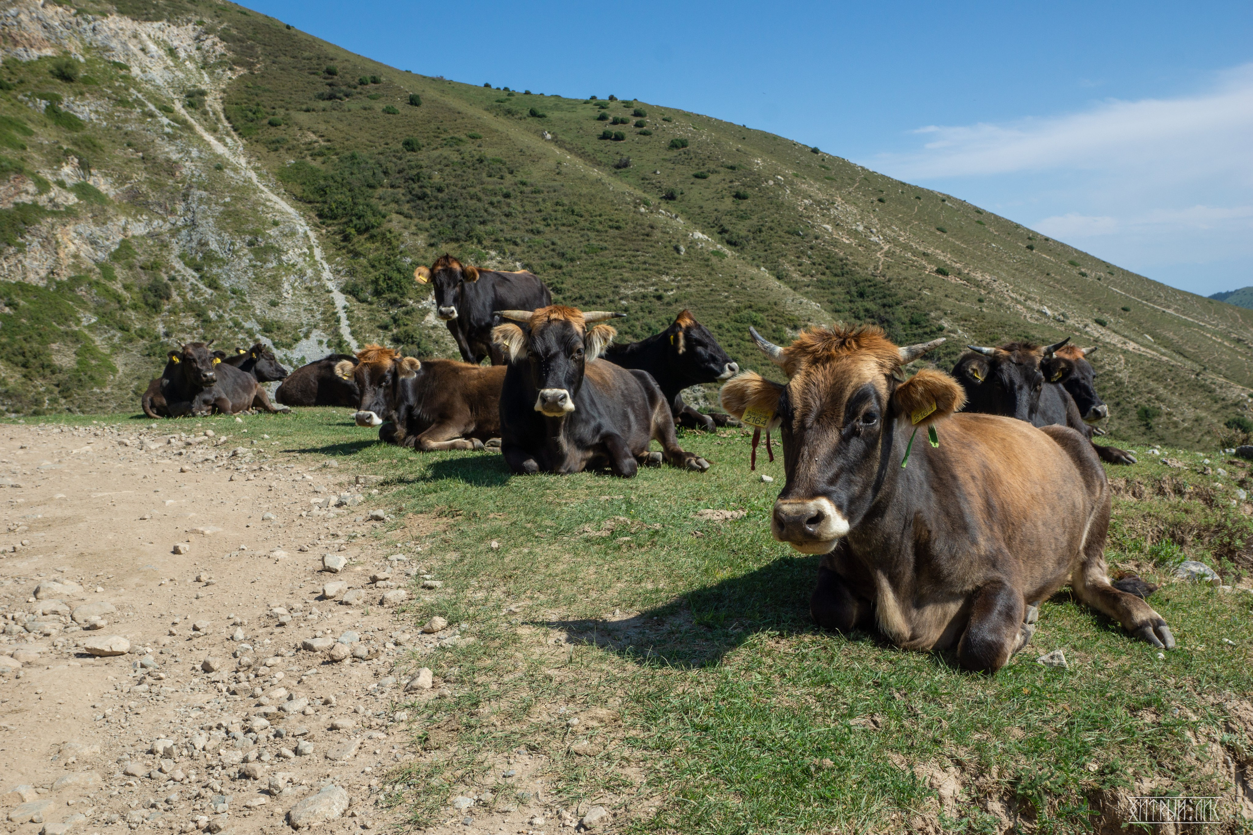 Киргизия. Фотограф-путешественник Самойлов Максим «Sly Fox»