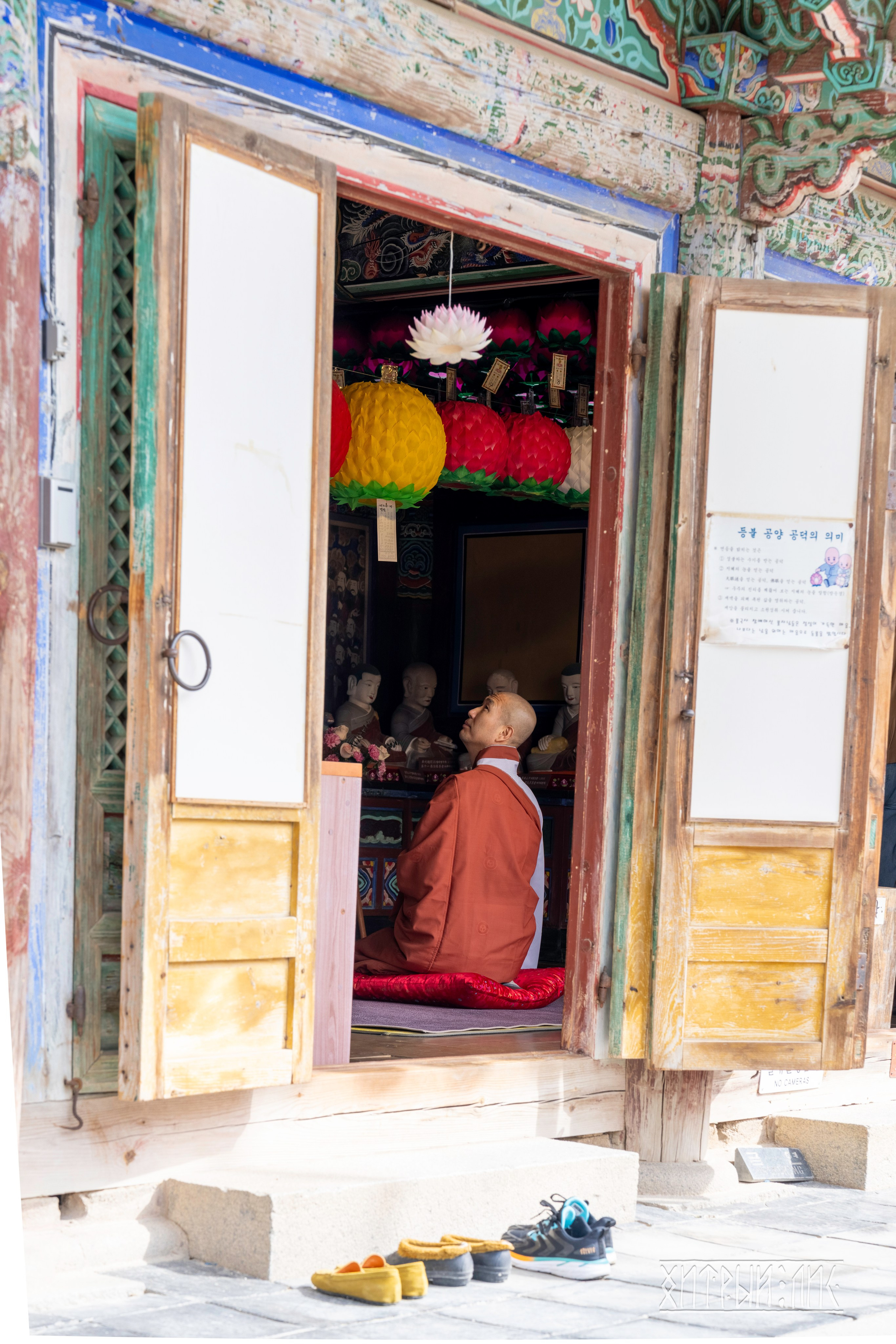 Южная Корея. Фотограф-путешественник Самойлов Максим «Sly Fox»