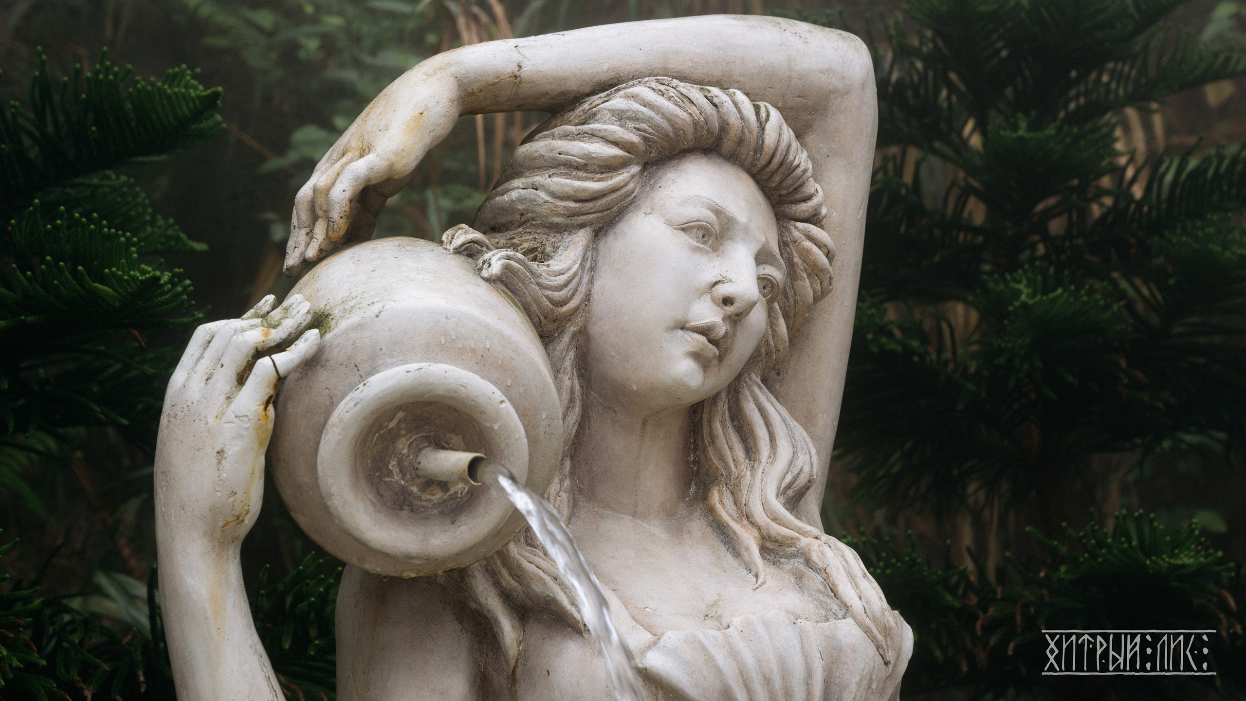 Вьетнам. Фотограф-путешественник Самойлов Максим «Sly Fox»