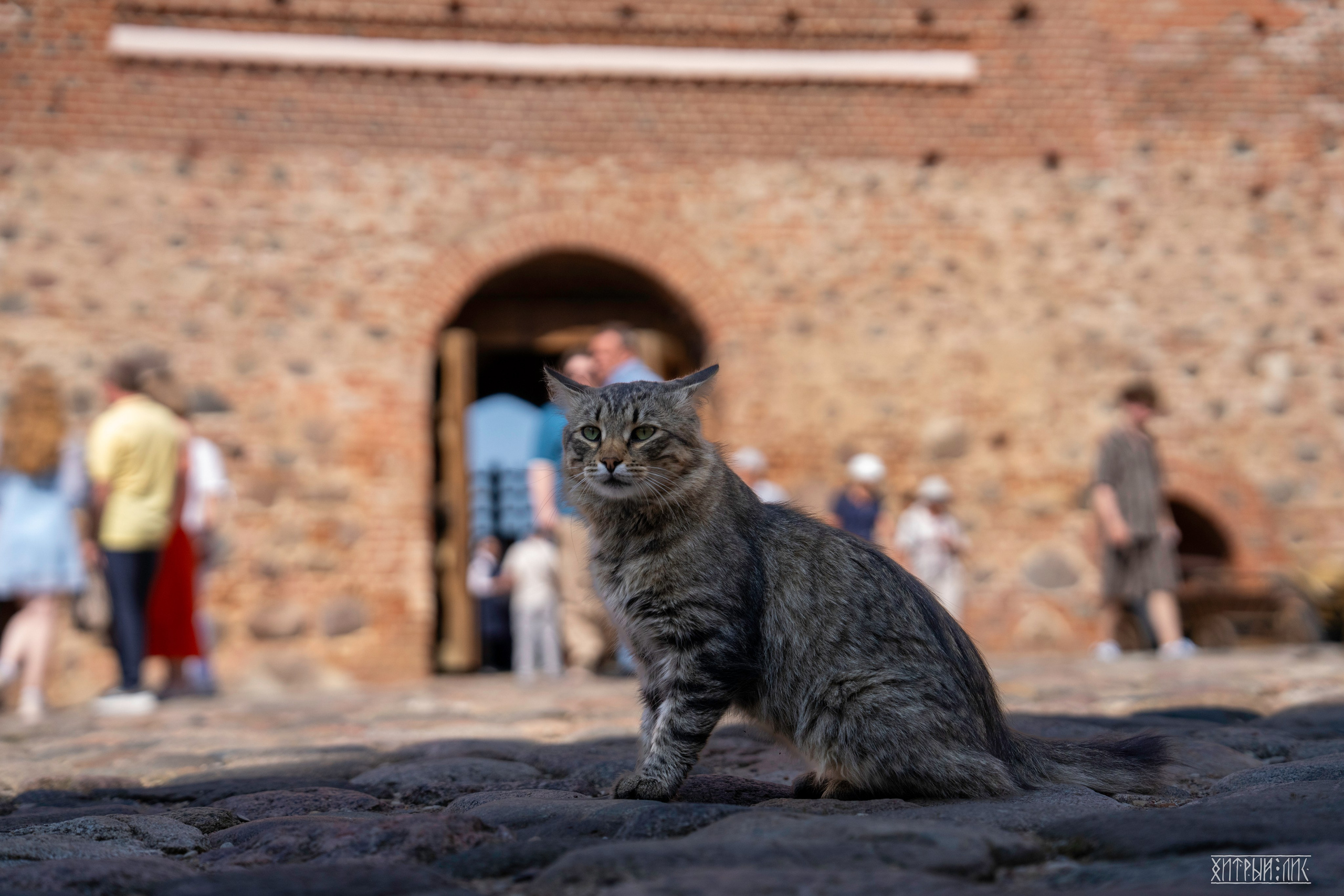 Беларусь. Фотограф-путешественник Самойлов Максим «Sly Fox»
