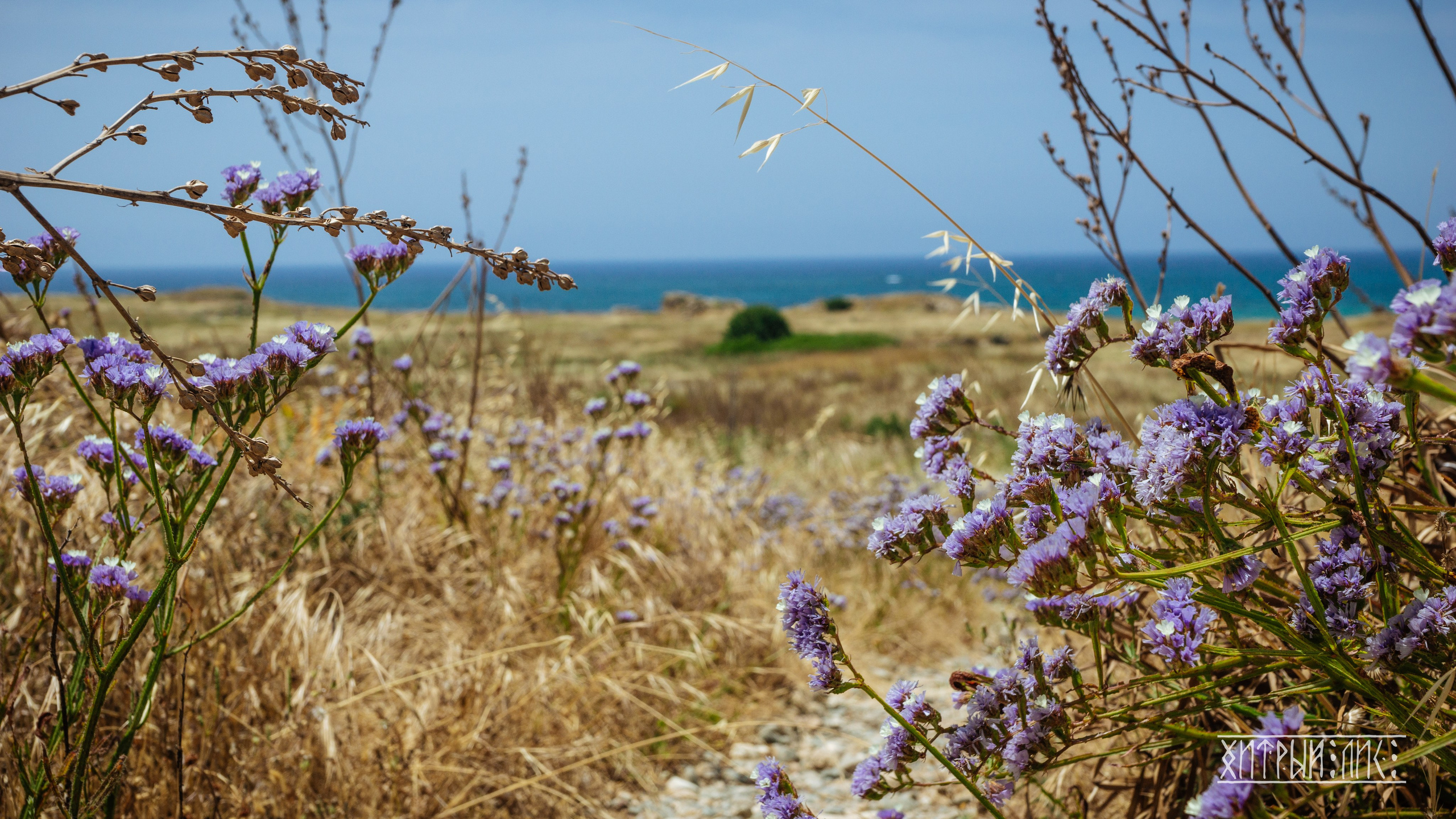 Кипр. Фотограф-путешественник Самойлов Максим «Sly Fox»