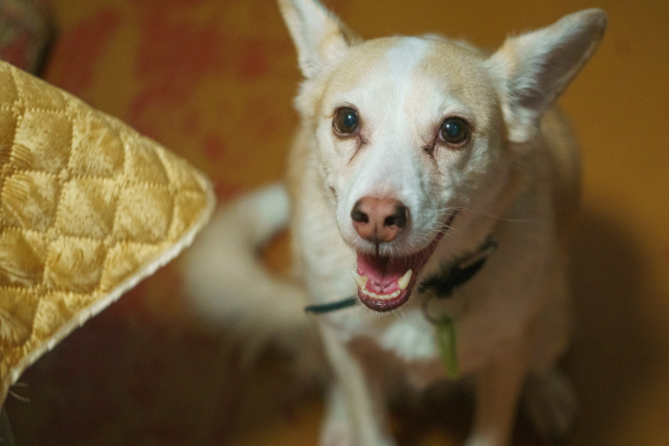 Соня. Фотограф в Кстово и Нижнем Новгороде KOLOSOK