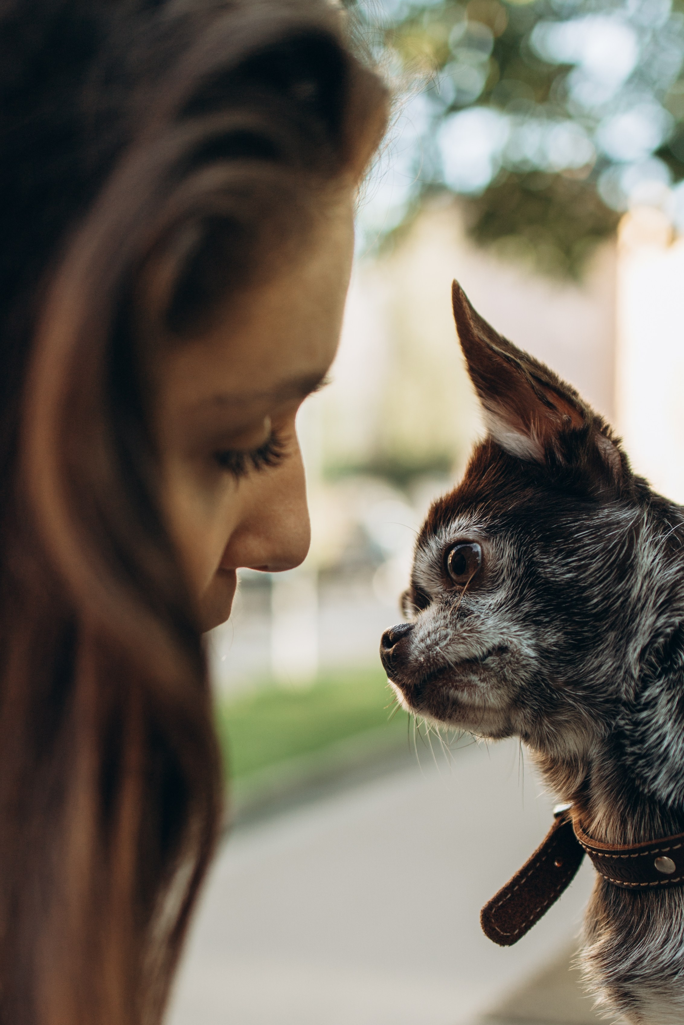 Даша и ее мальчики. Фотограф — Анималист | Санкт-Петербург