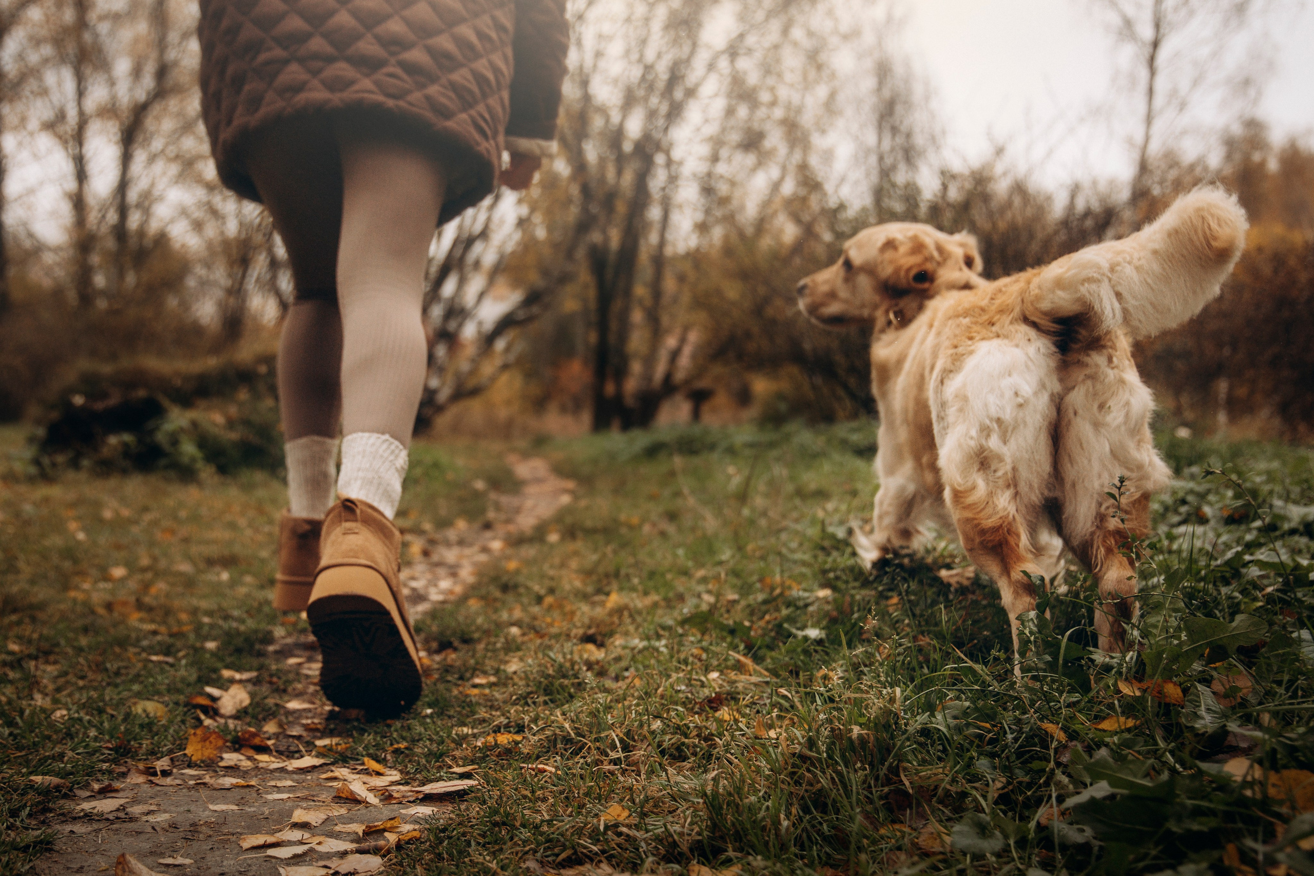 Марина и Чили. Фотограф — Анималист | Санкт-Петербург