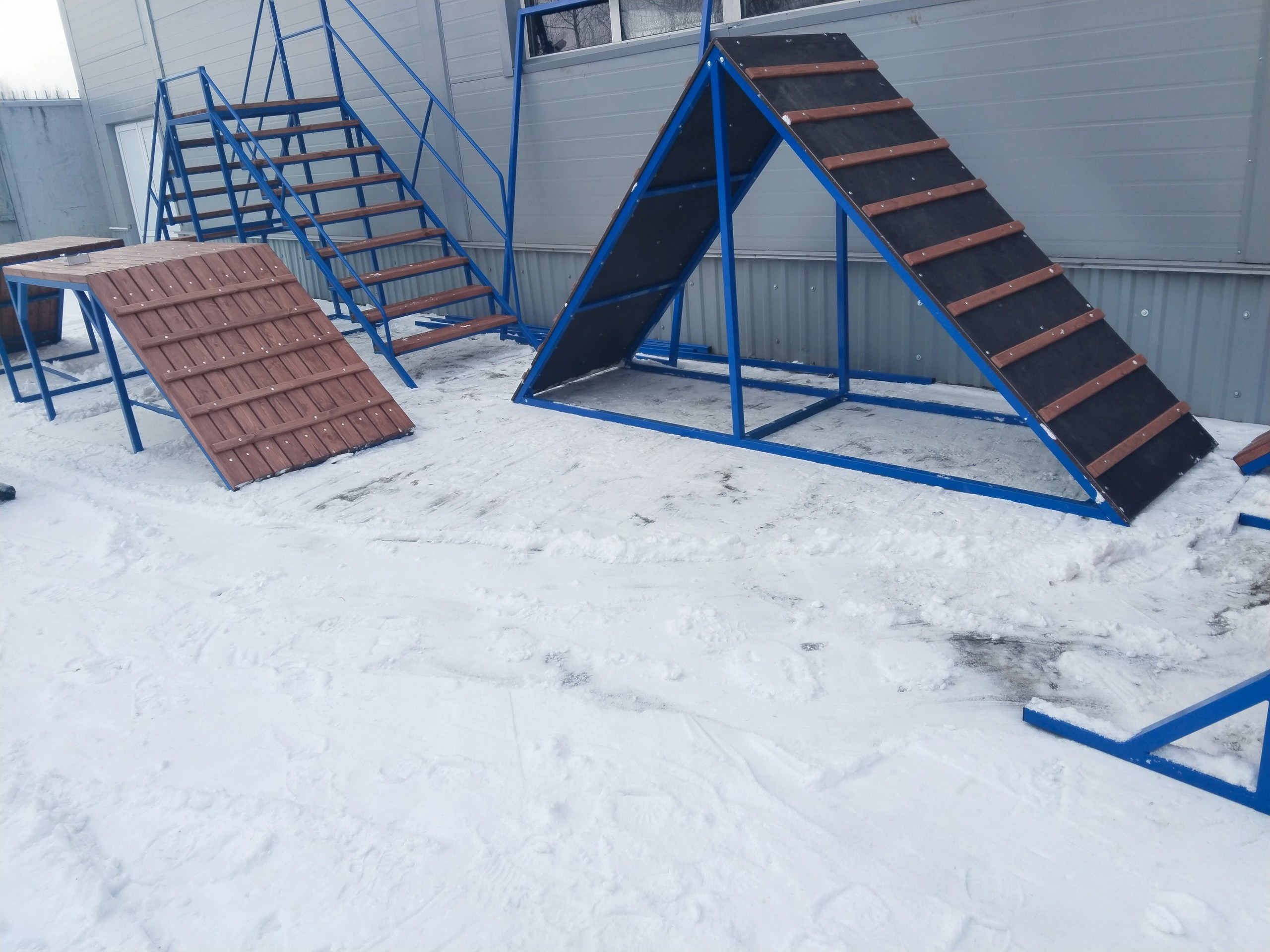 Практические занятия по дрессировке. НРОО КЦ "Собаковод"