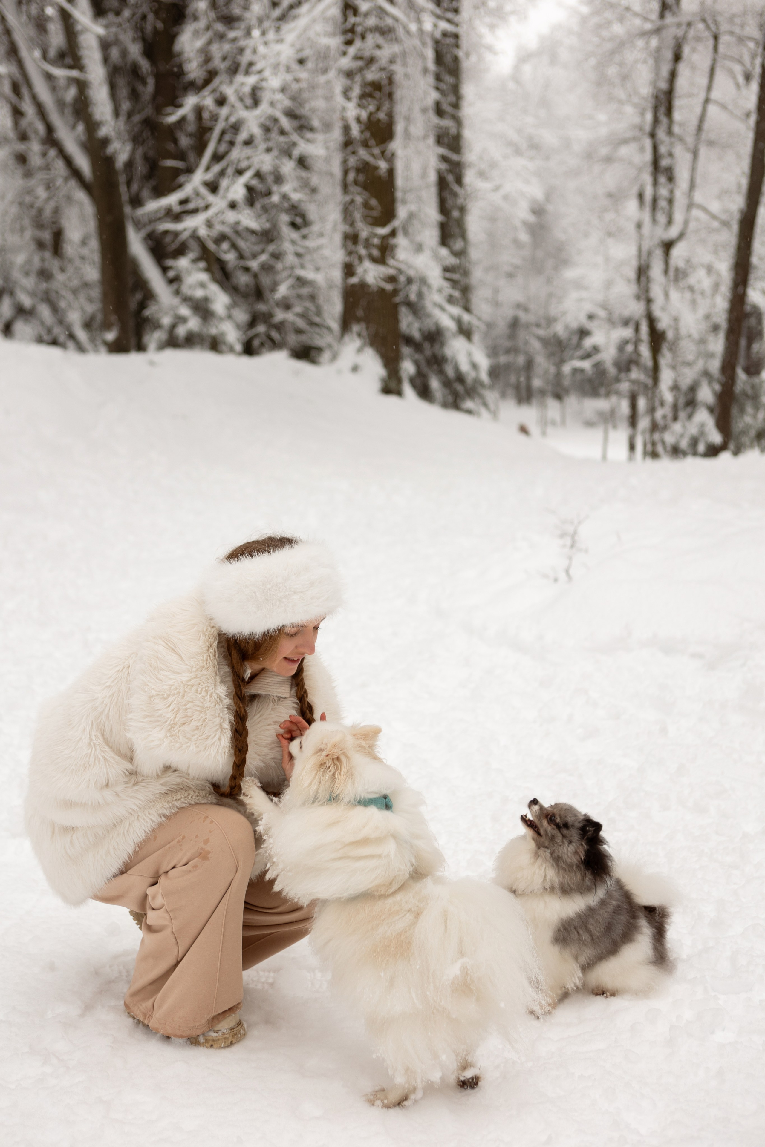 Новогодняя фотосессия с собачками в шуваловском парке. Свадебный фотограф в СПБ | Санкт-Петербурге Анастасия Рахимгулова