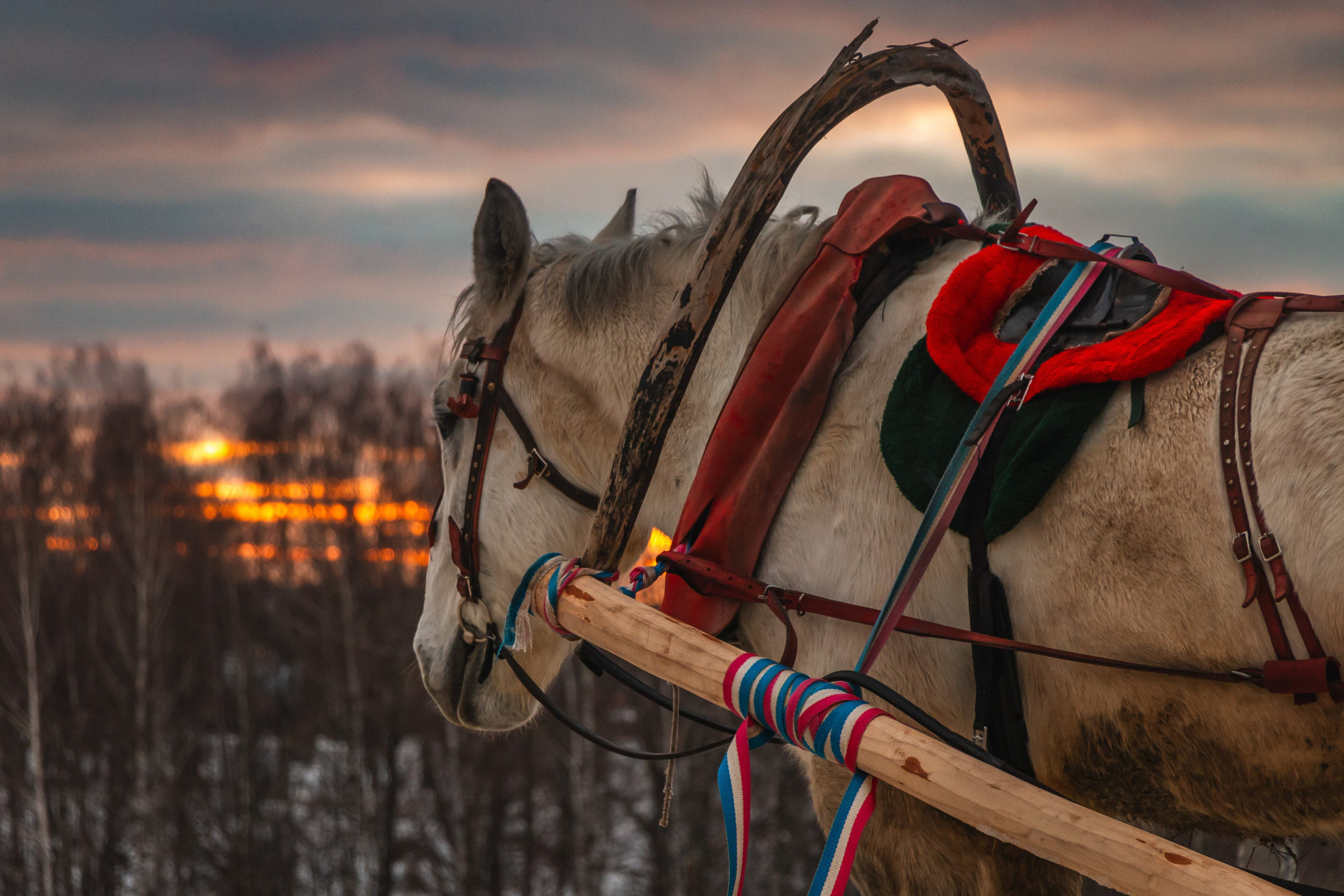 Суздаль. Олег Романов. Мастер фото по спорту