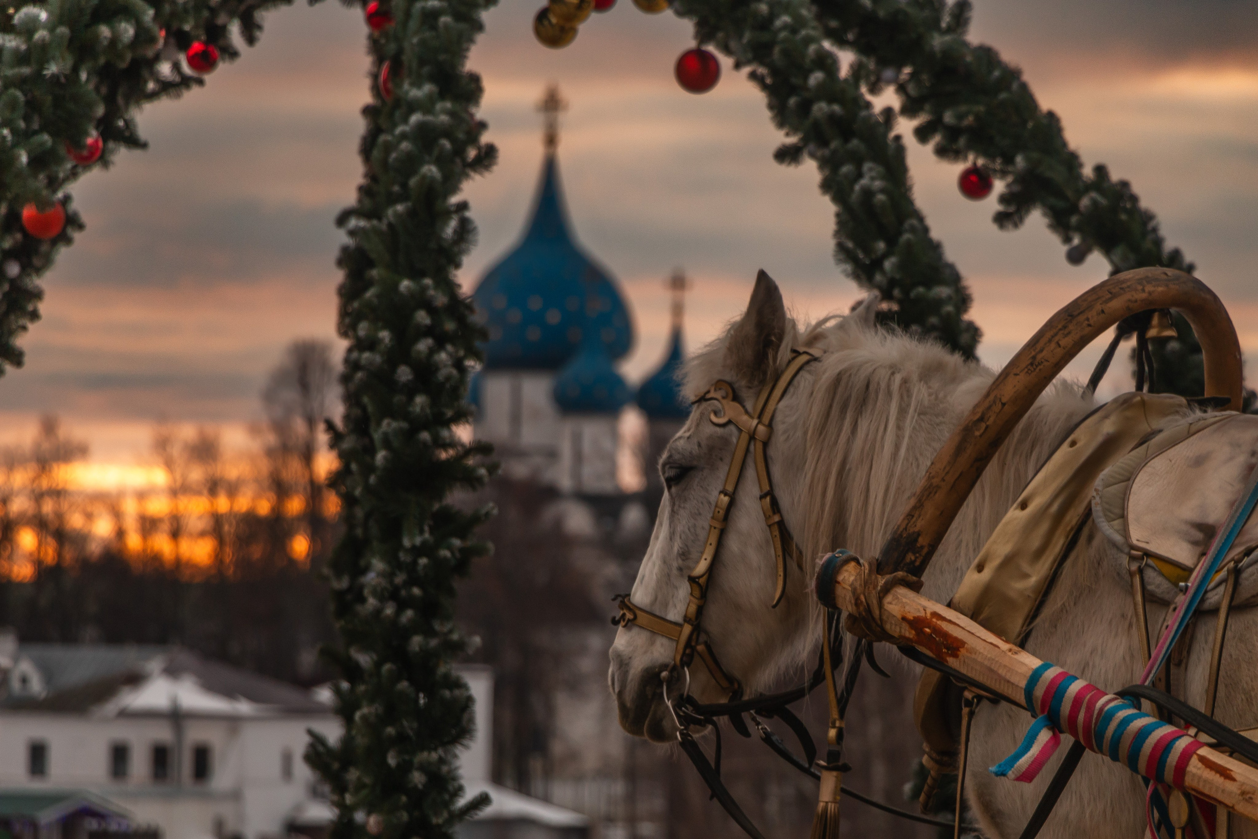 Суздаль. Олег Романов. Мастер фото по спорту