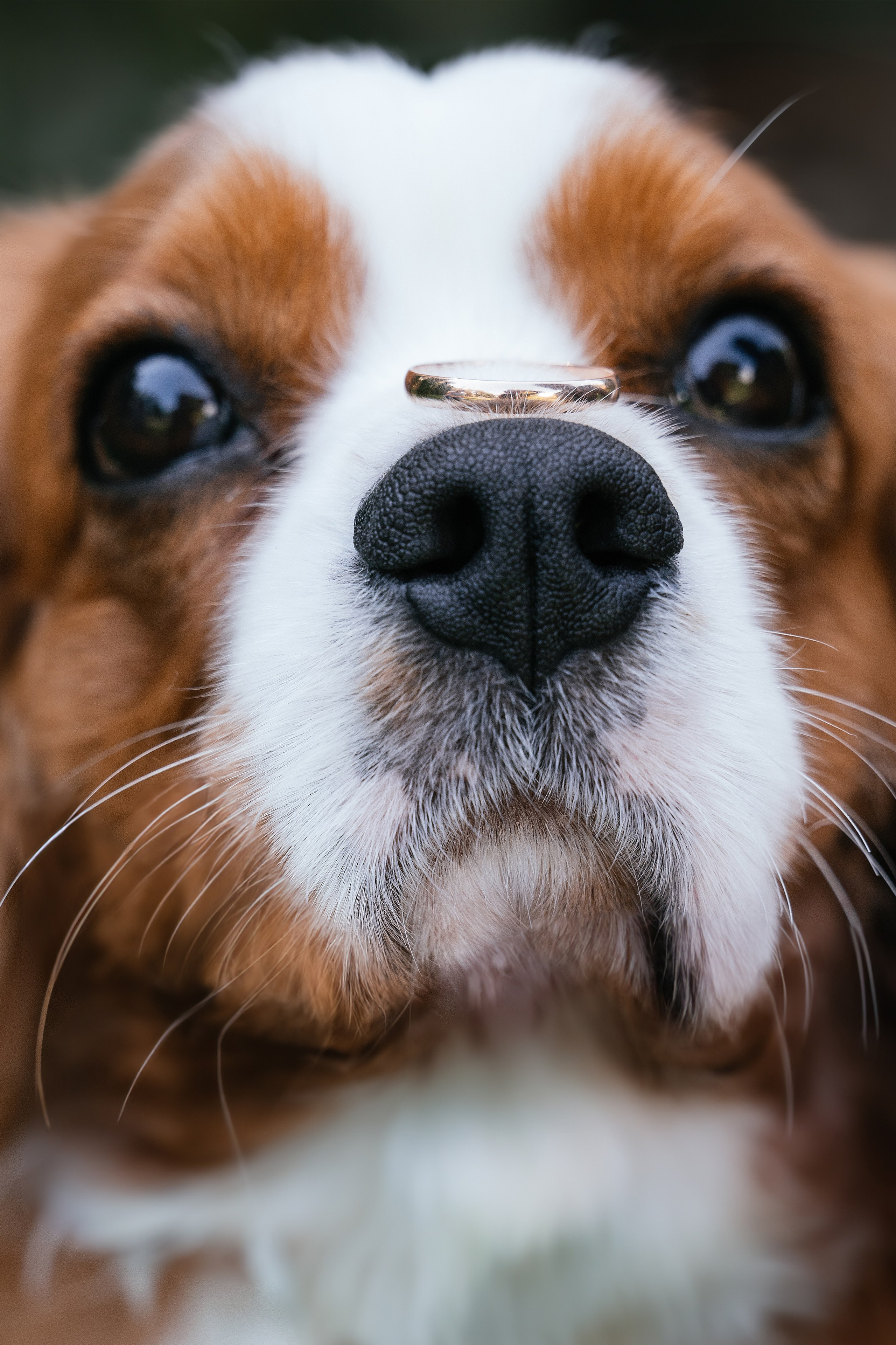 Wedding day #56. Свадебный, семейный фотограф в Рязани Лена Брант