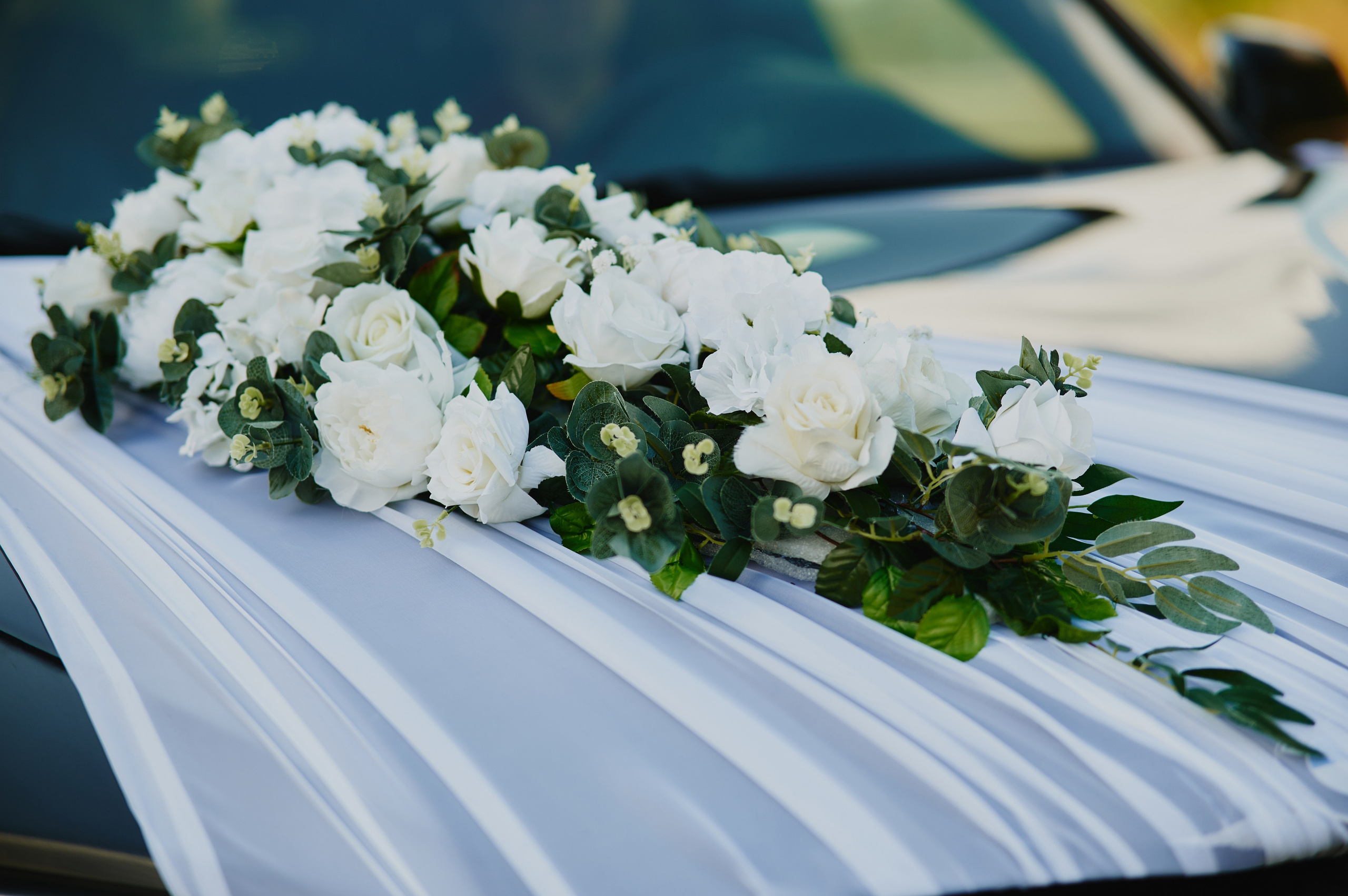 Виктория и Виталий. Фото-видеосъемка свадеб Venson Films