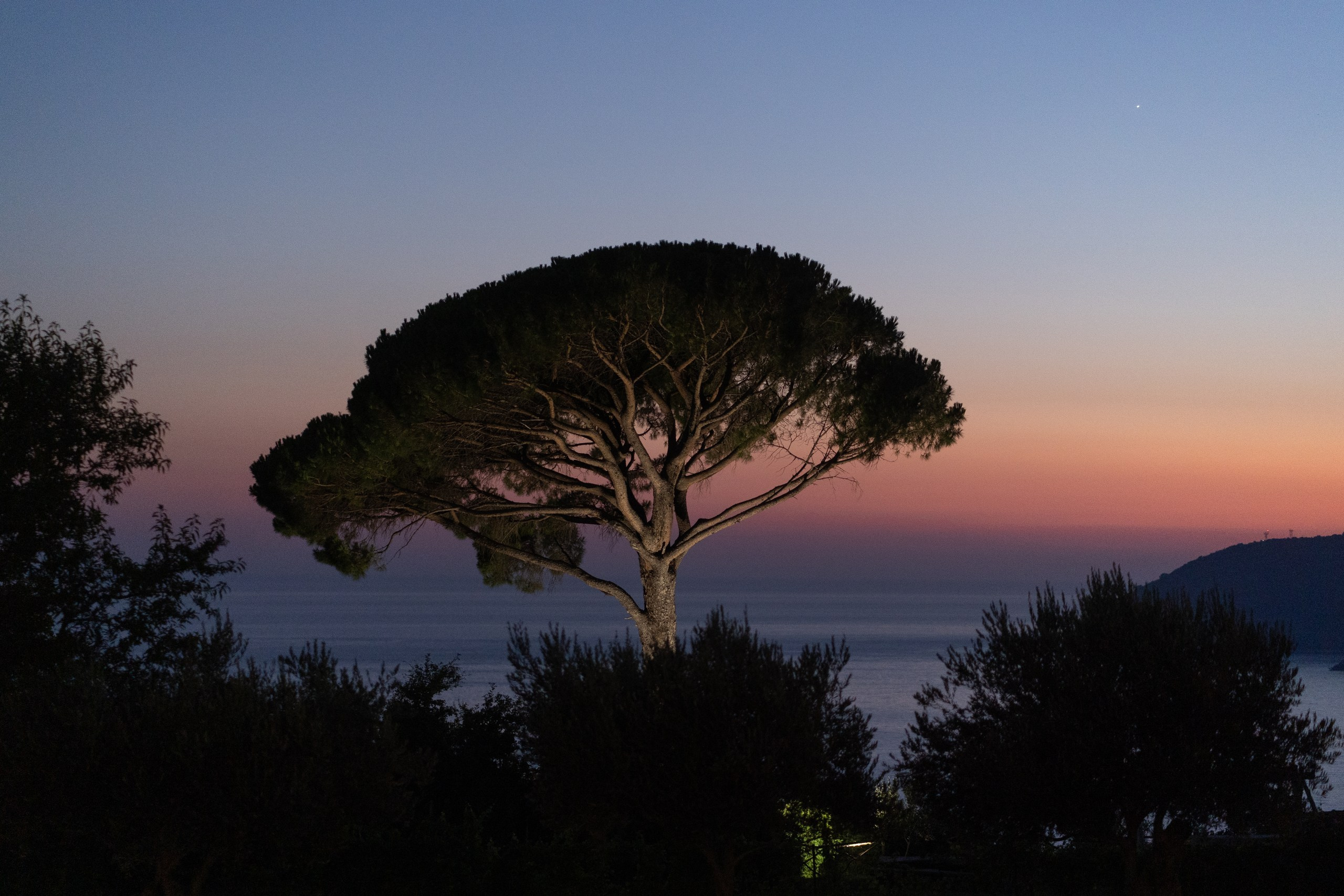 Julie and George. Elopement Wedding Photographer