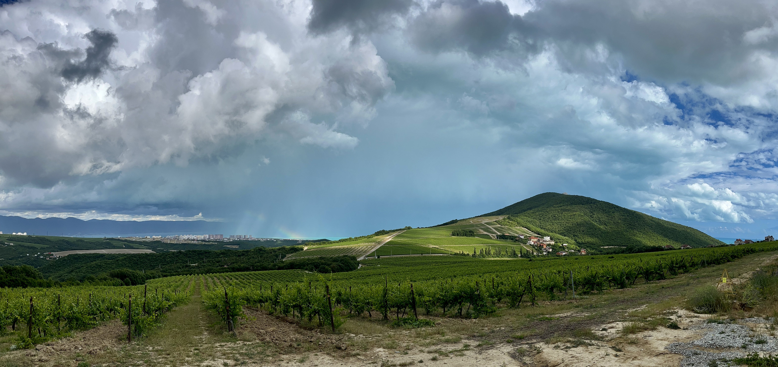 Вид на виноградники Краснодарского края перед грозой, радуга и грозовые облака на небе