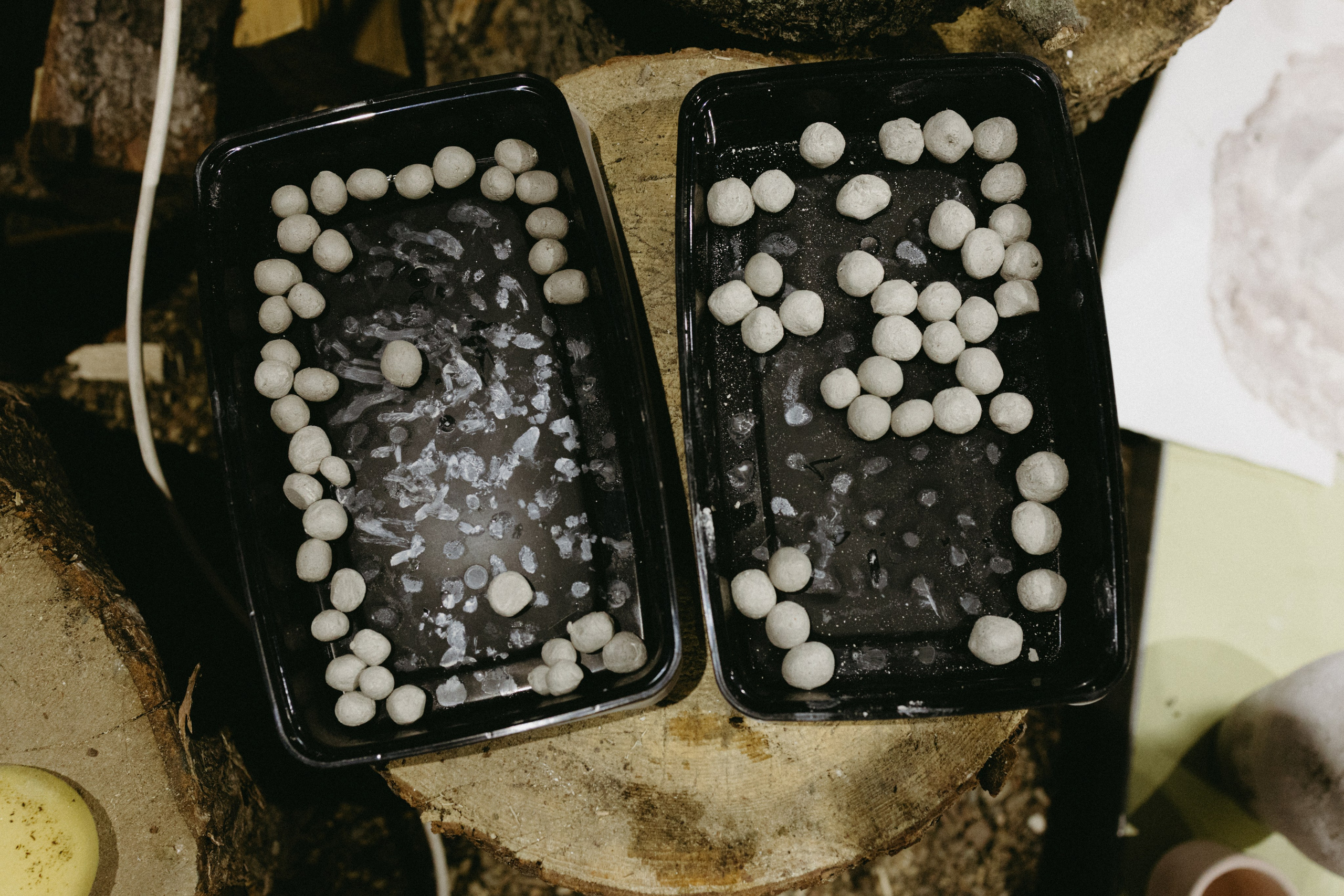 Новые земли. Про любовь