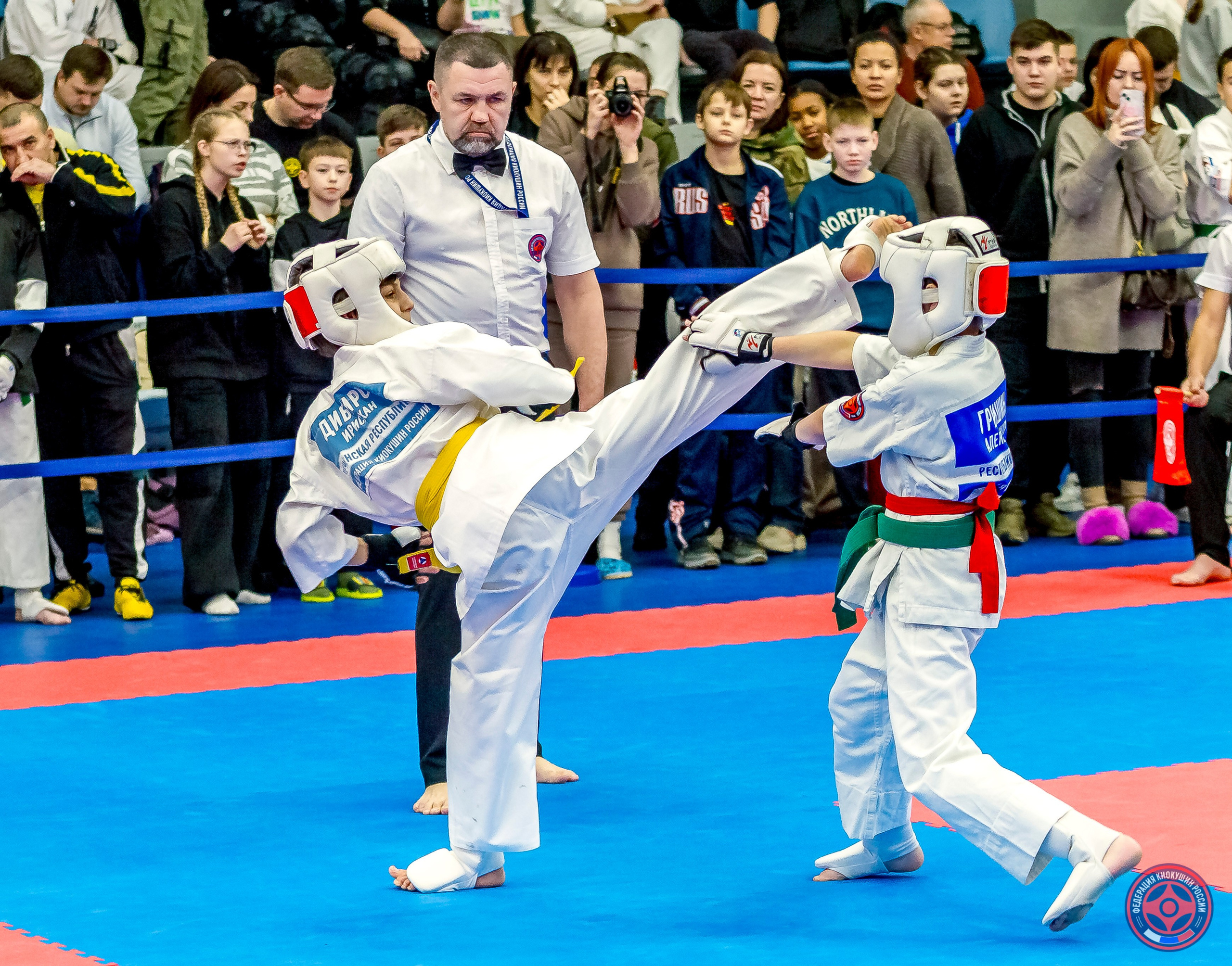 Международный турнир по киокушин «Открытый кубок Seiken». Репортажная съемка в Москве и области. Анималистика