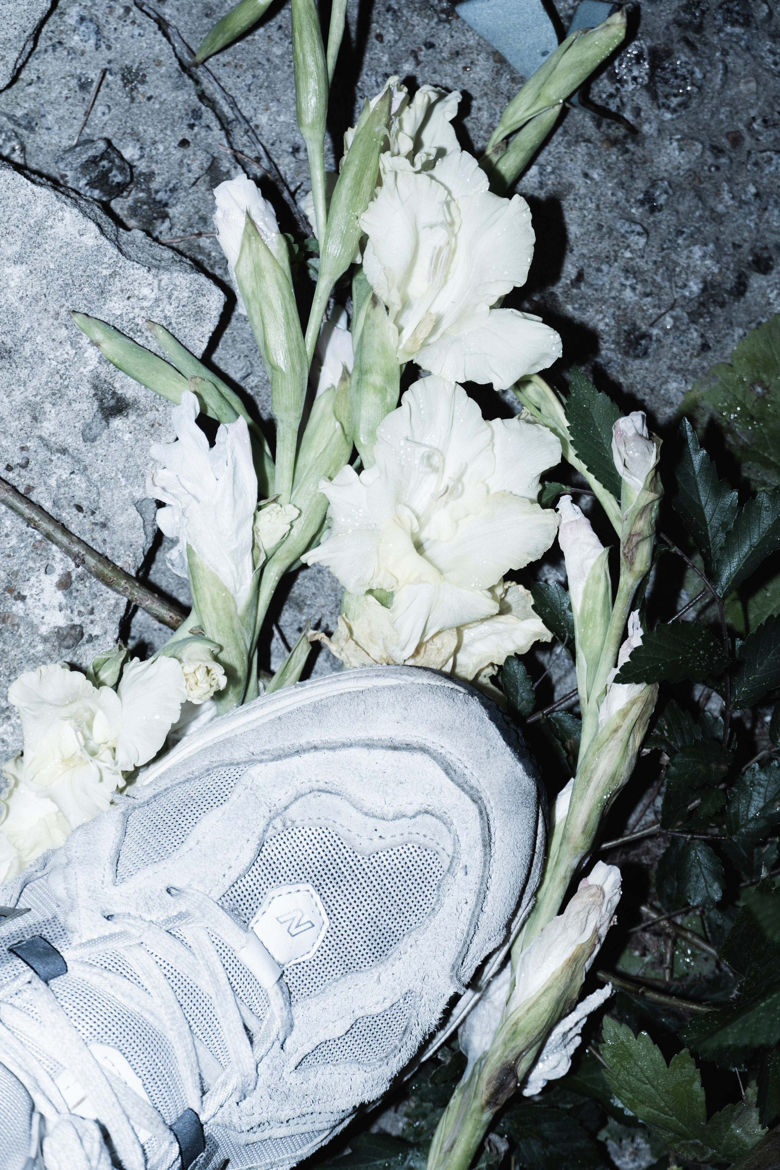 Дима. Фотограф в Хабаровске Денис Shoxie