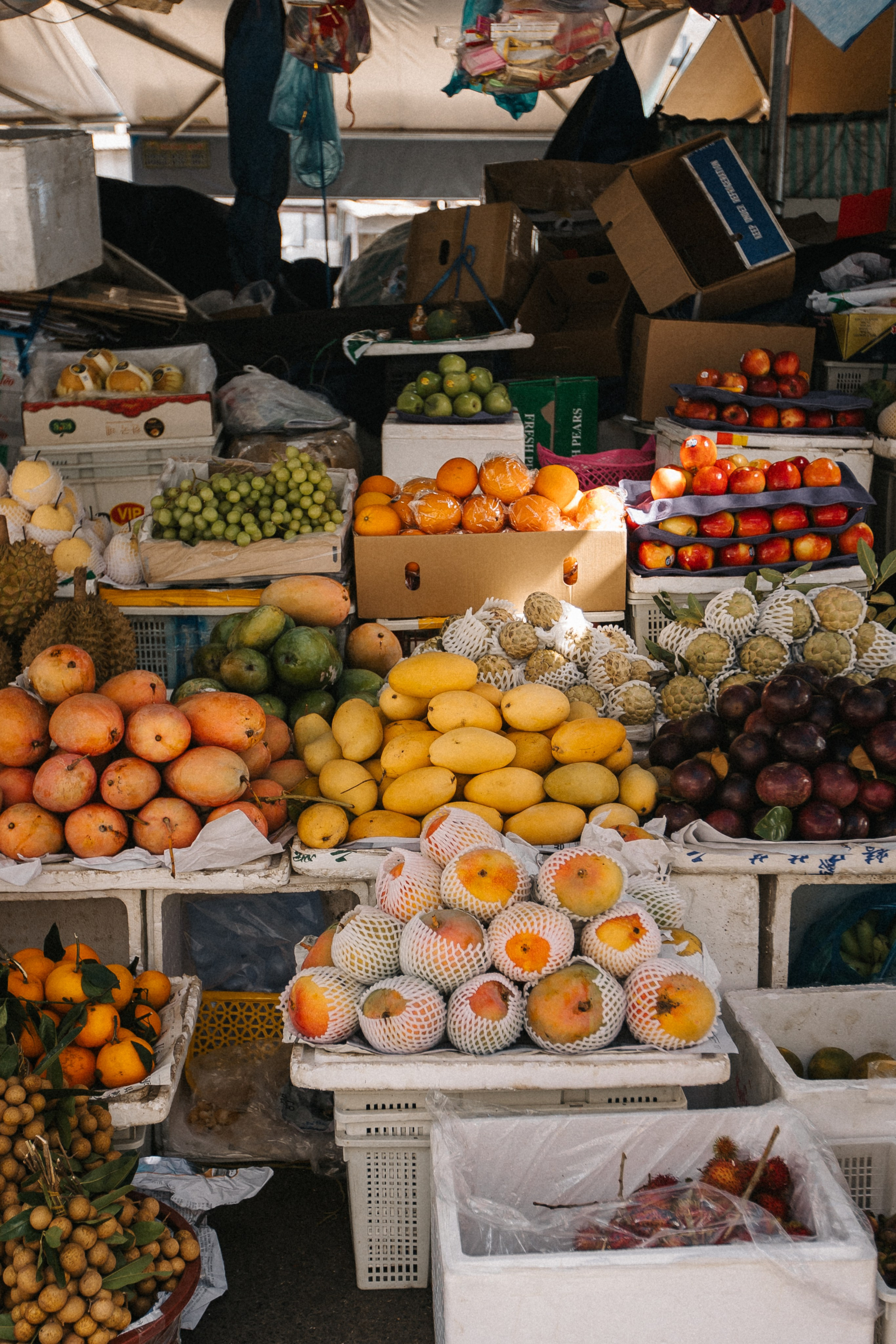 Nha Trang, Vietnam. Свадебный фотограф Москва и МО Паншина Дарья