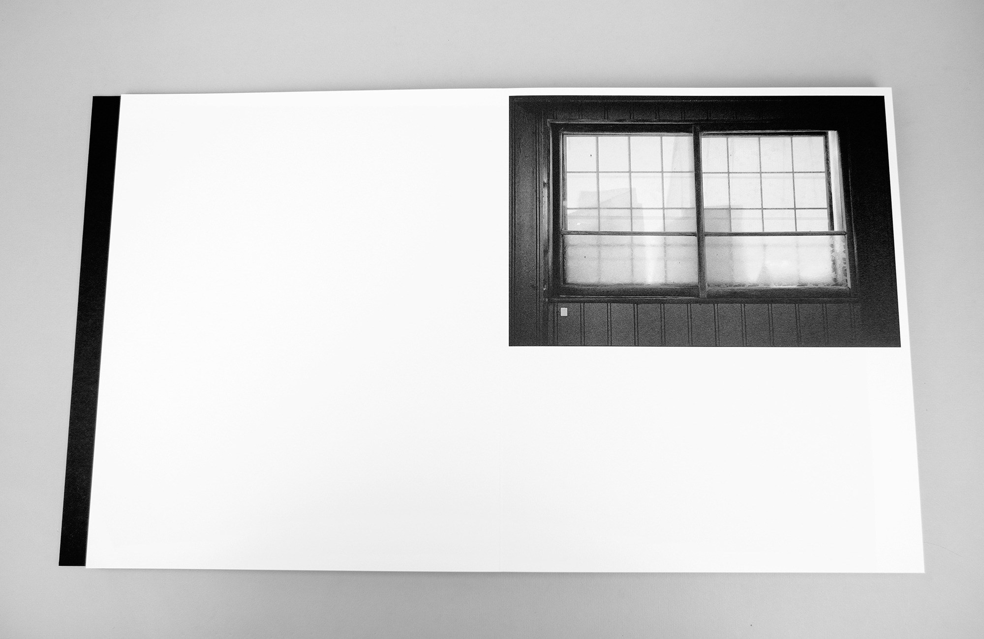 Как форма книги может влиять на концепт?. Самоорганизация Низина