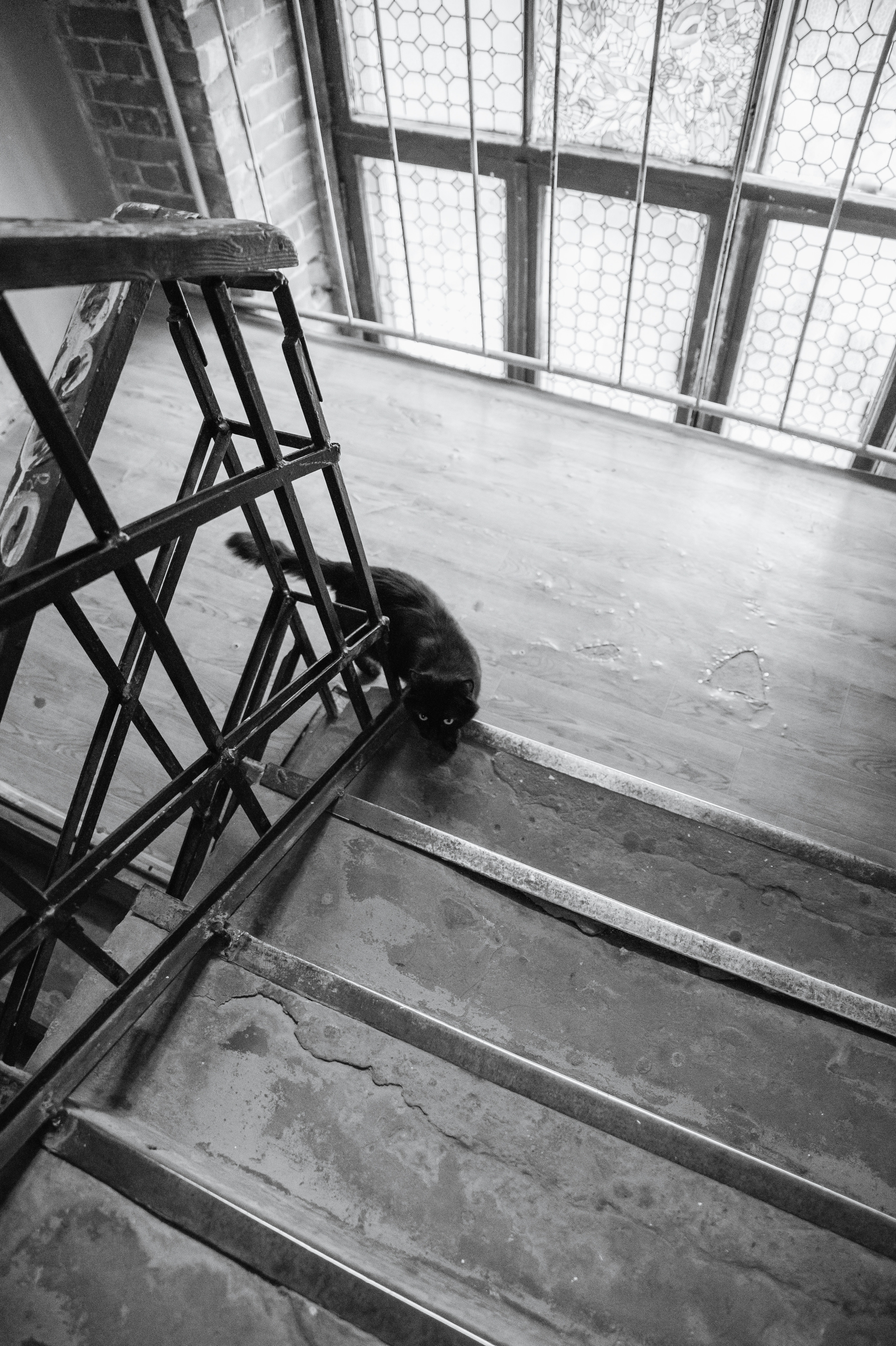 Свадьба для двоих Самаре. Свадебный фотограф Тольятти Самара Холмов Артем