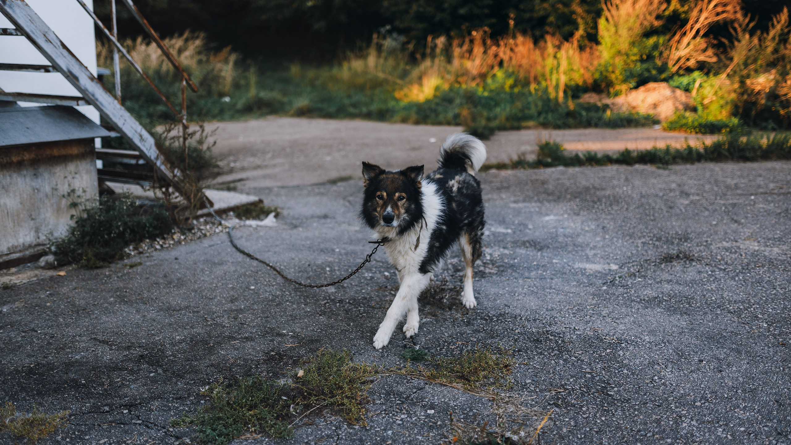 Невидимый спектр. Komonev