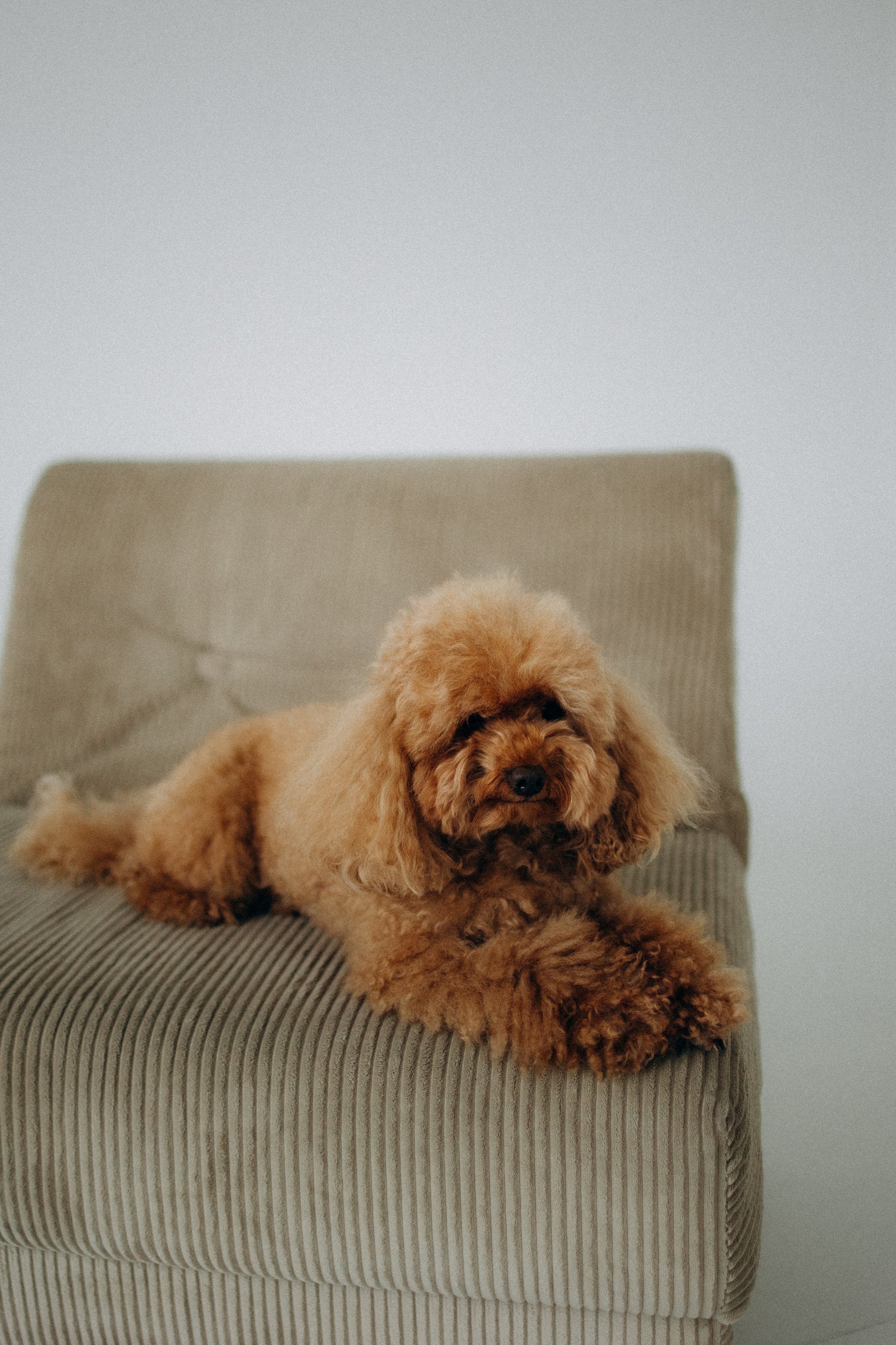 Лилия и Оди. Фотораф — анималист Мария Шистка