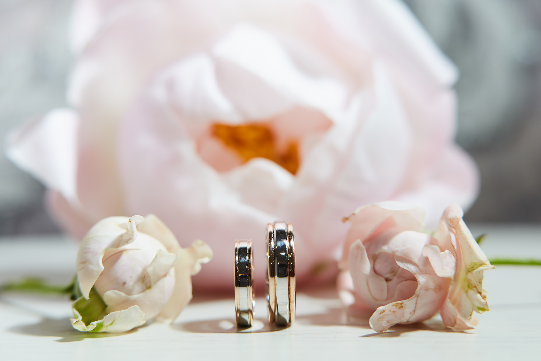 Свадебная фотосессия в Березке. Где можно фотографироваться в Солигорс