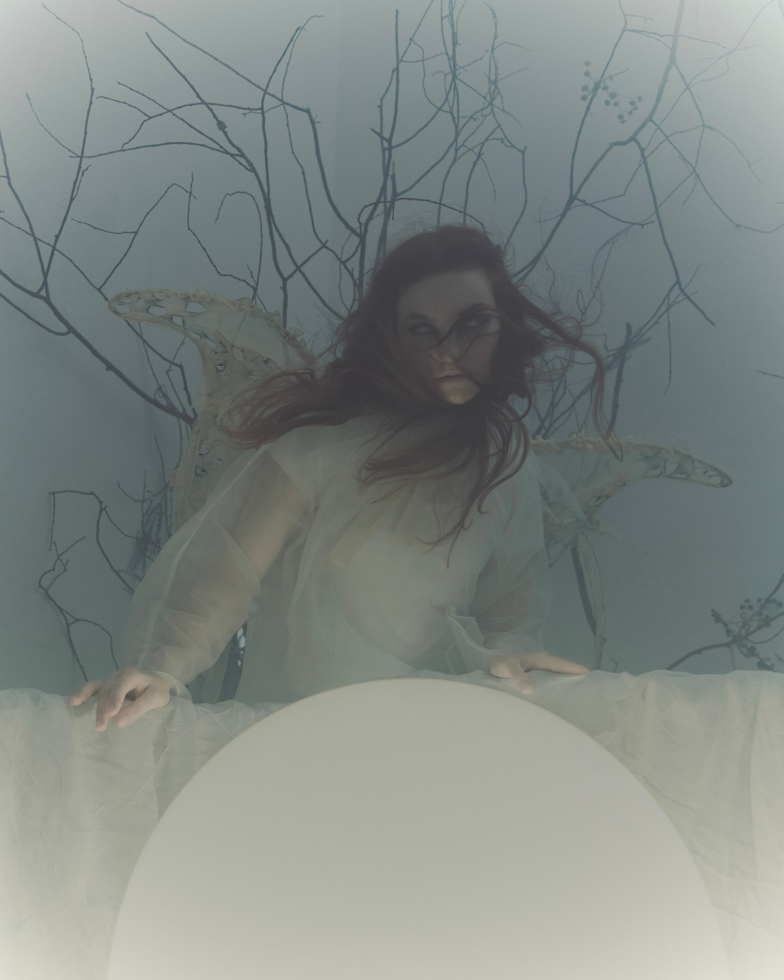 Мотылек. Фотограф Anita Mivchas