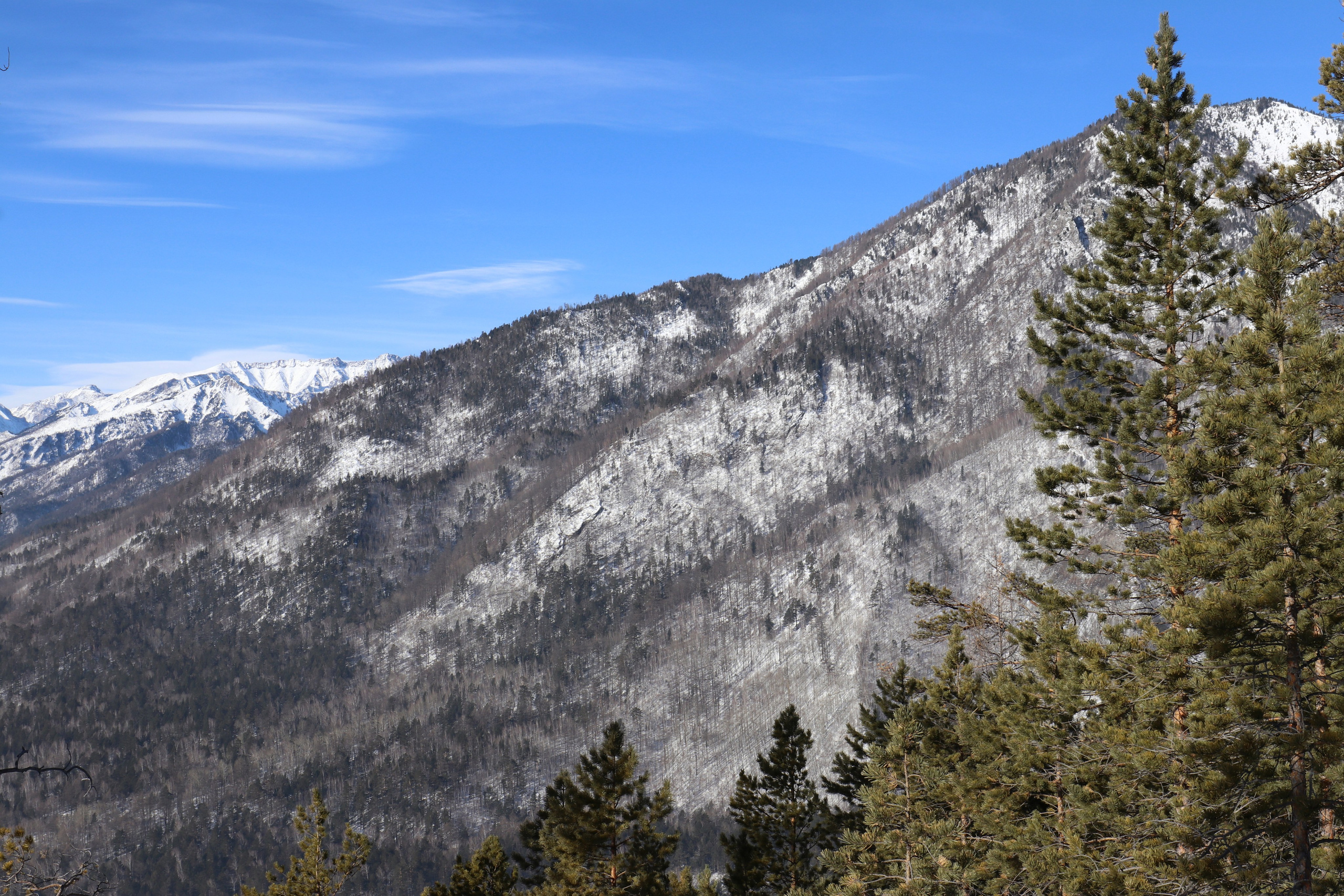 Аршан. Февраль 2025. Путешественник-фотограф из Санкт-Петербурга Татьяна Свистулина