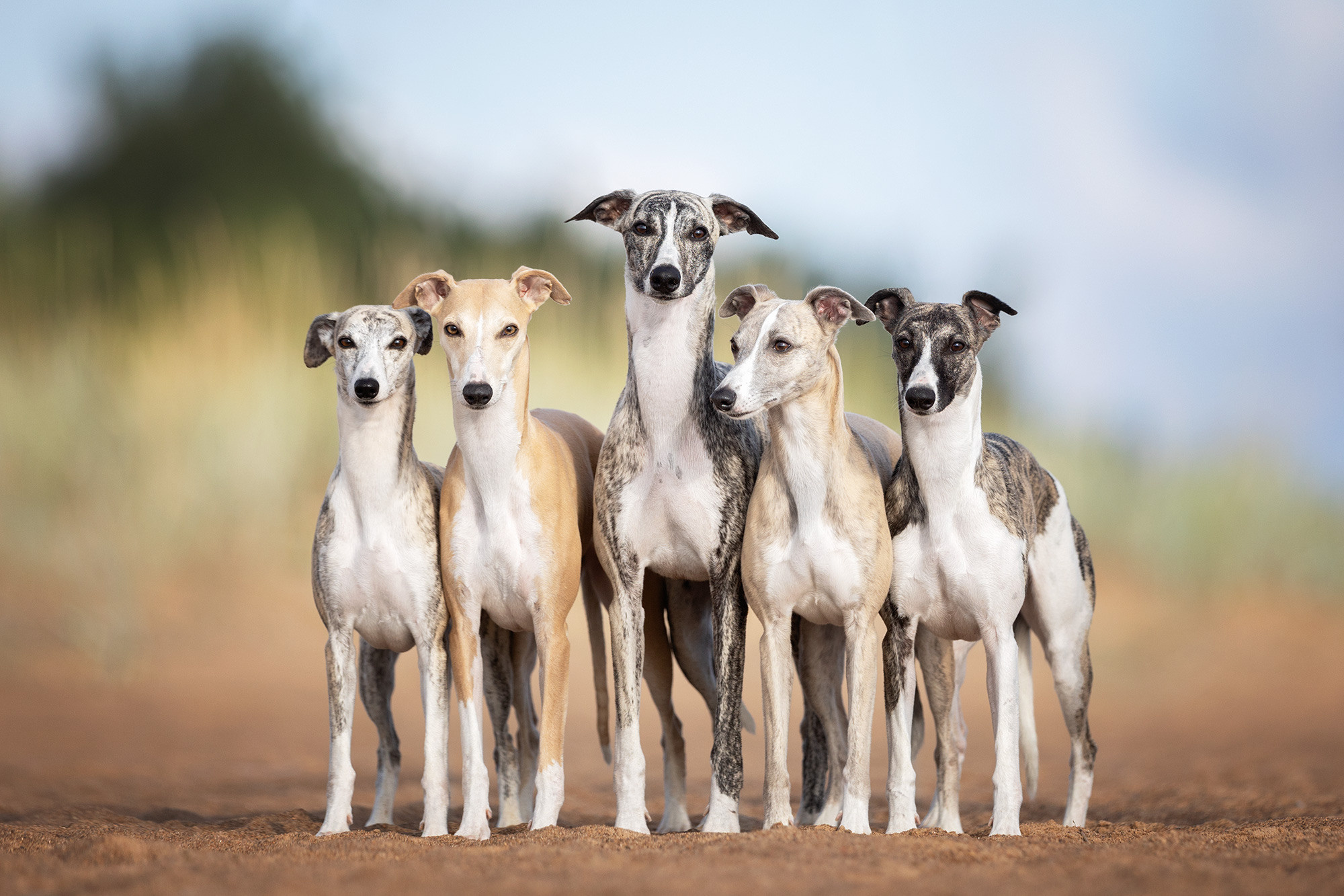 Отзывы. Фотограф Анастасия Ветковская, Москва
