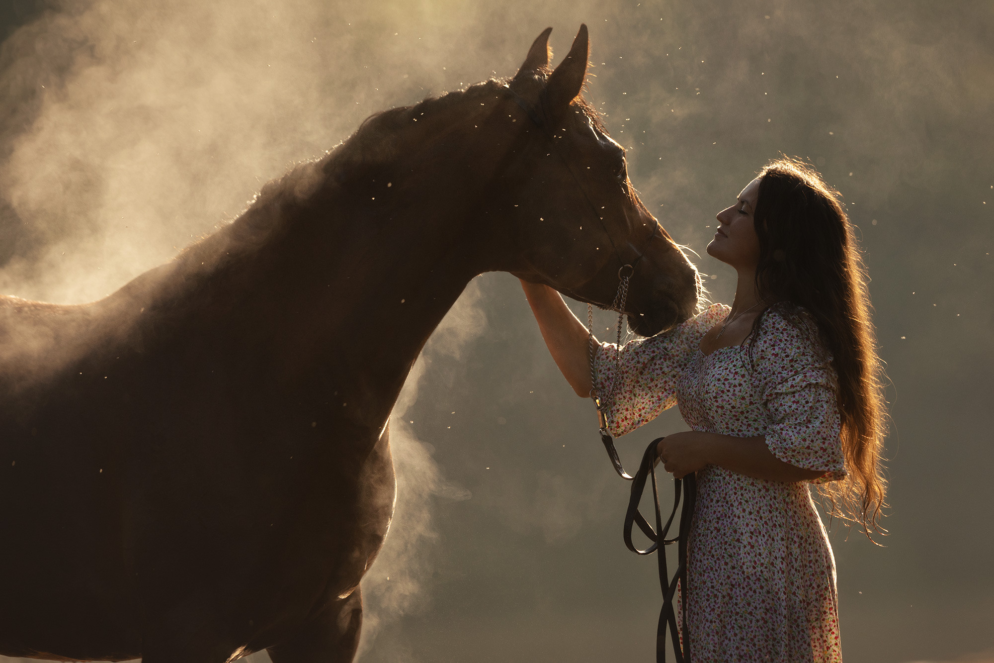 Лошади. Фотограф Анастасия Ветковская, Москва
