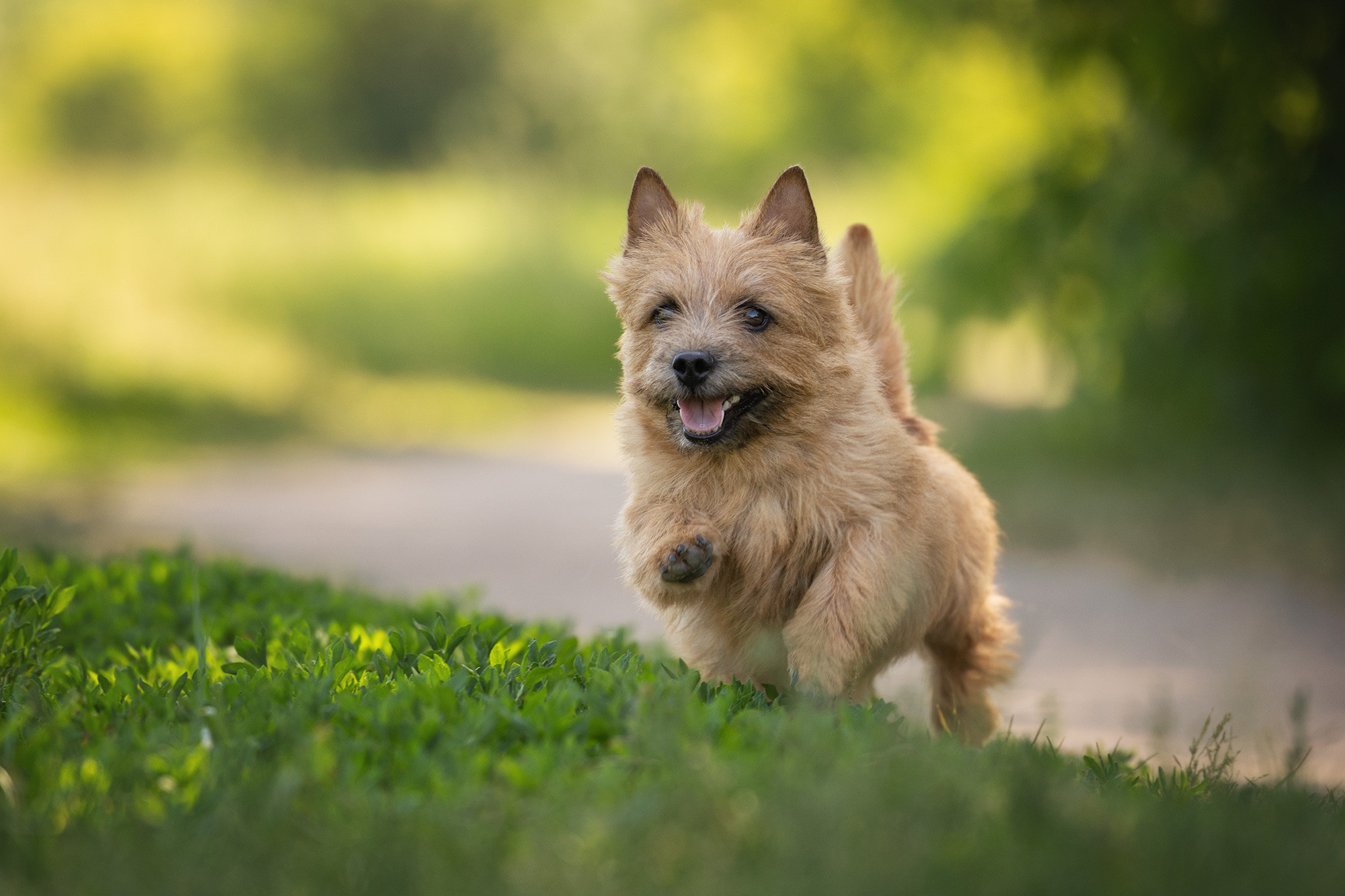 Отзывы. Фотограф Анастасия Ветковская, Москва