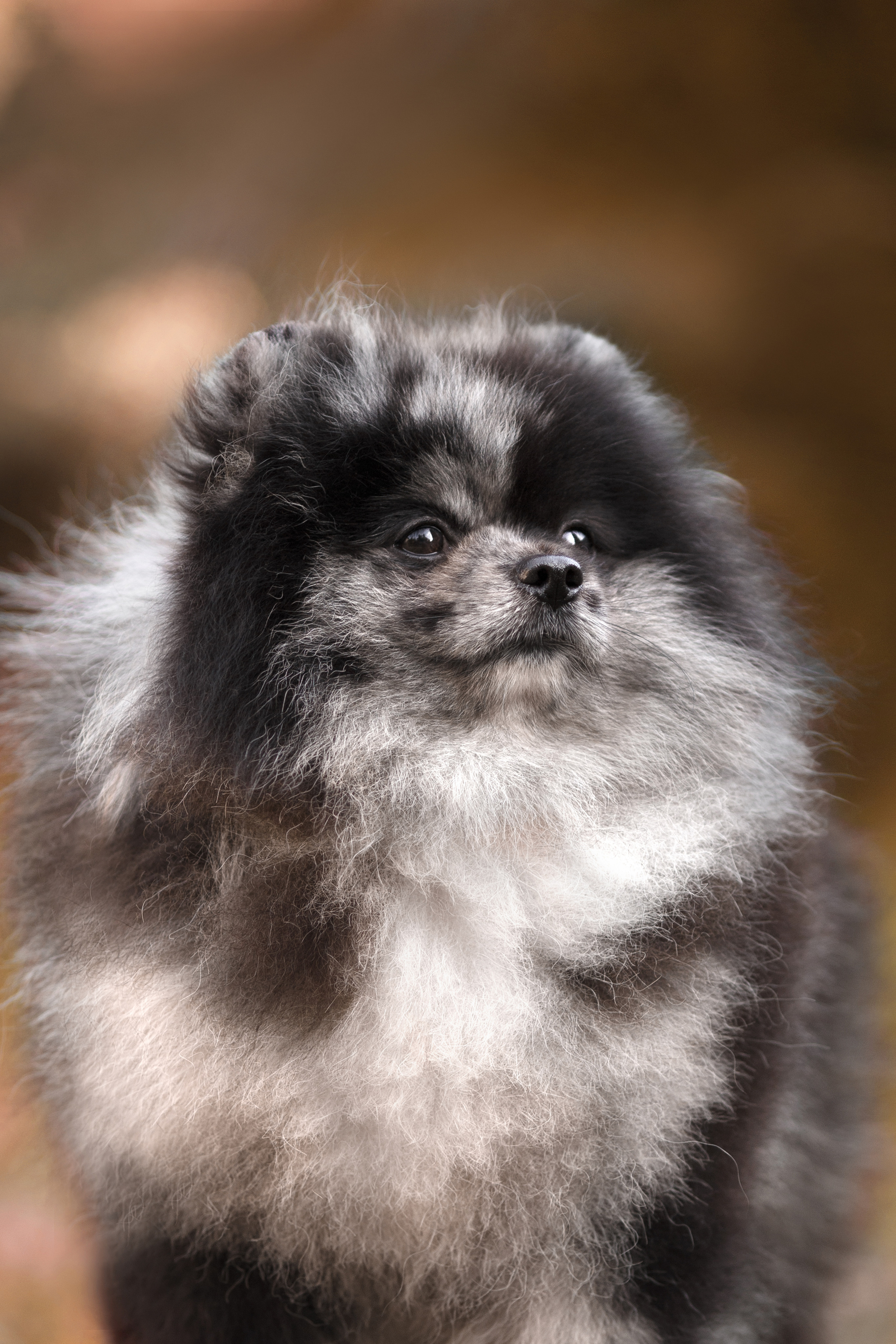 Отзывы. Фотограф Анастасия Ветковская, Москва