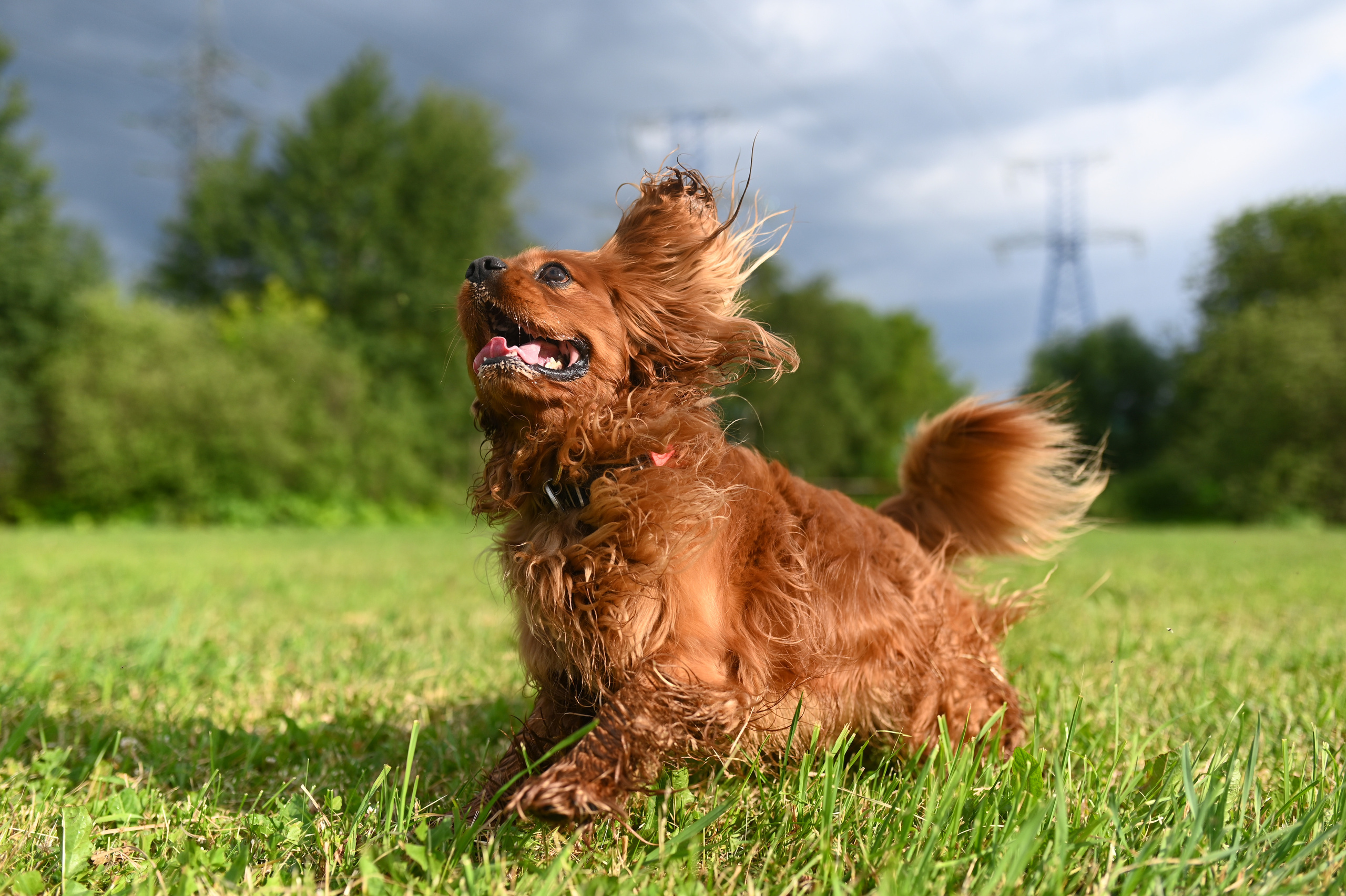 Отзывы. Фотограф Анастасия Ветковская, Москва