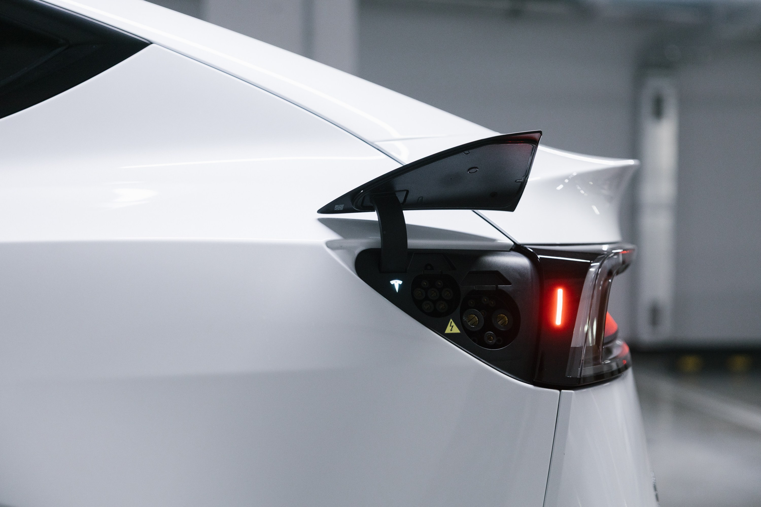 Model Y+. Эстетика Sveta