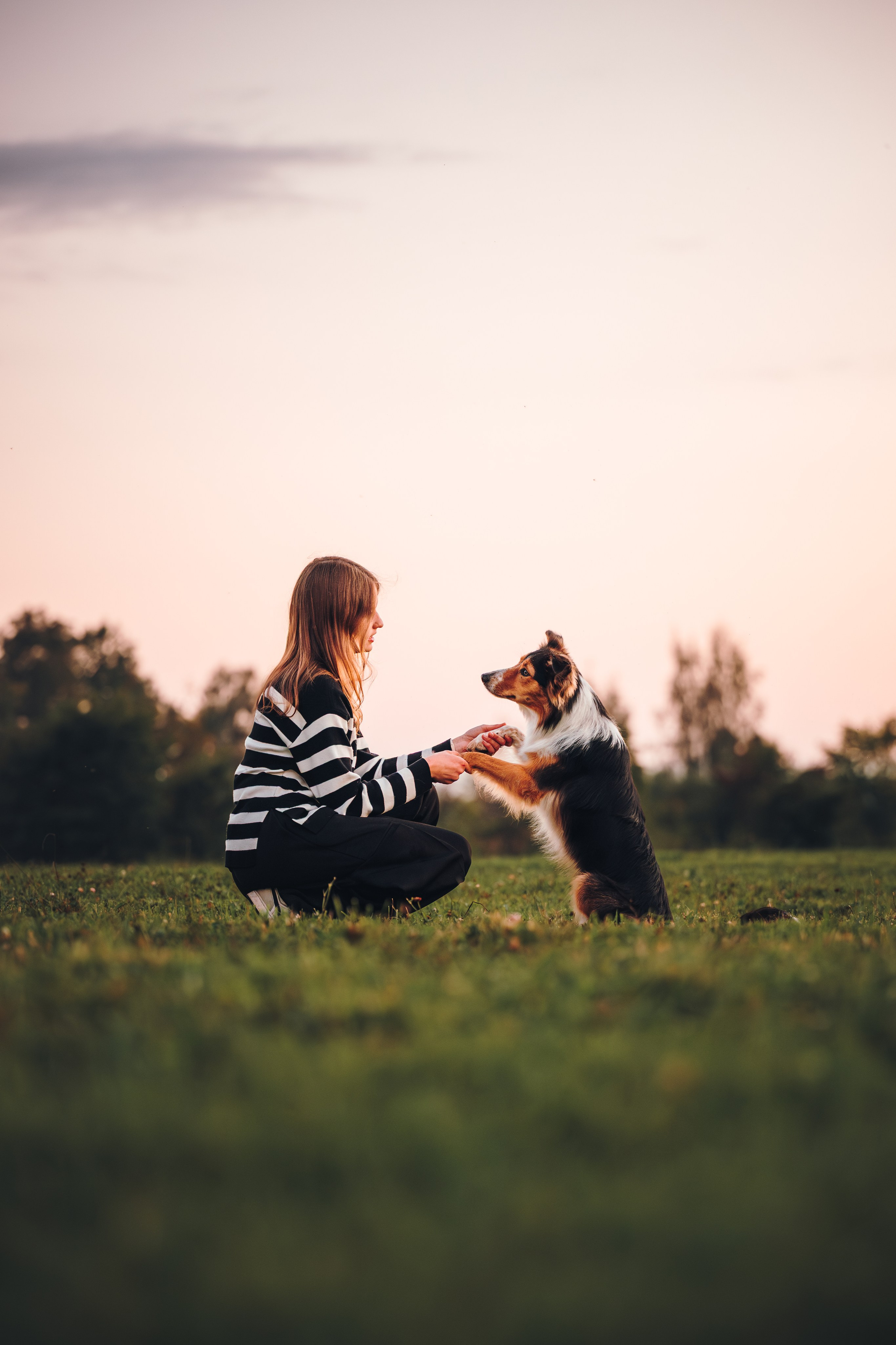 Саша, Флик и Эсприт. Семейный фотограф анималист Ананьева Мария — Москва