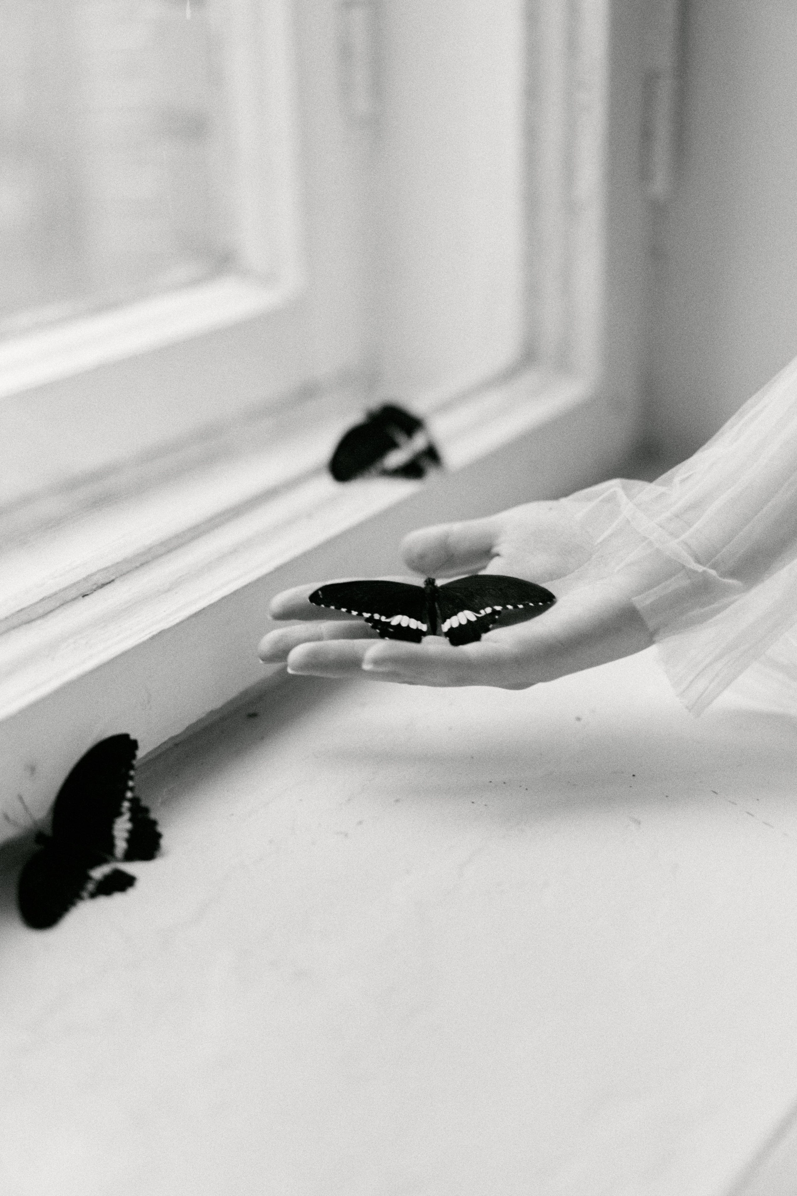 BUTTERFLY. Свадебный фотограф Жучкова Елизавета в Москве