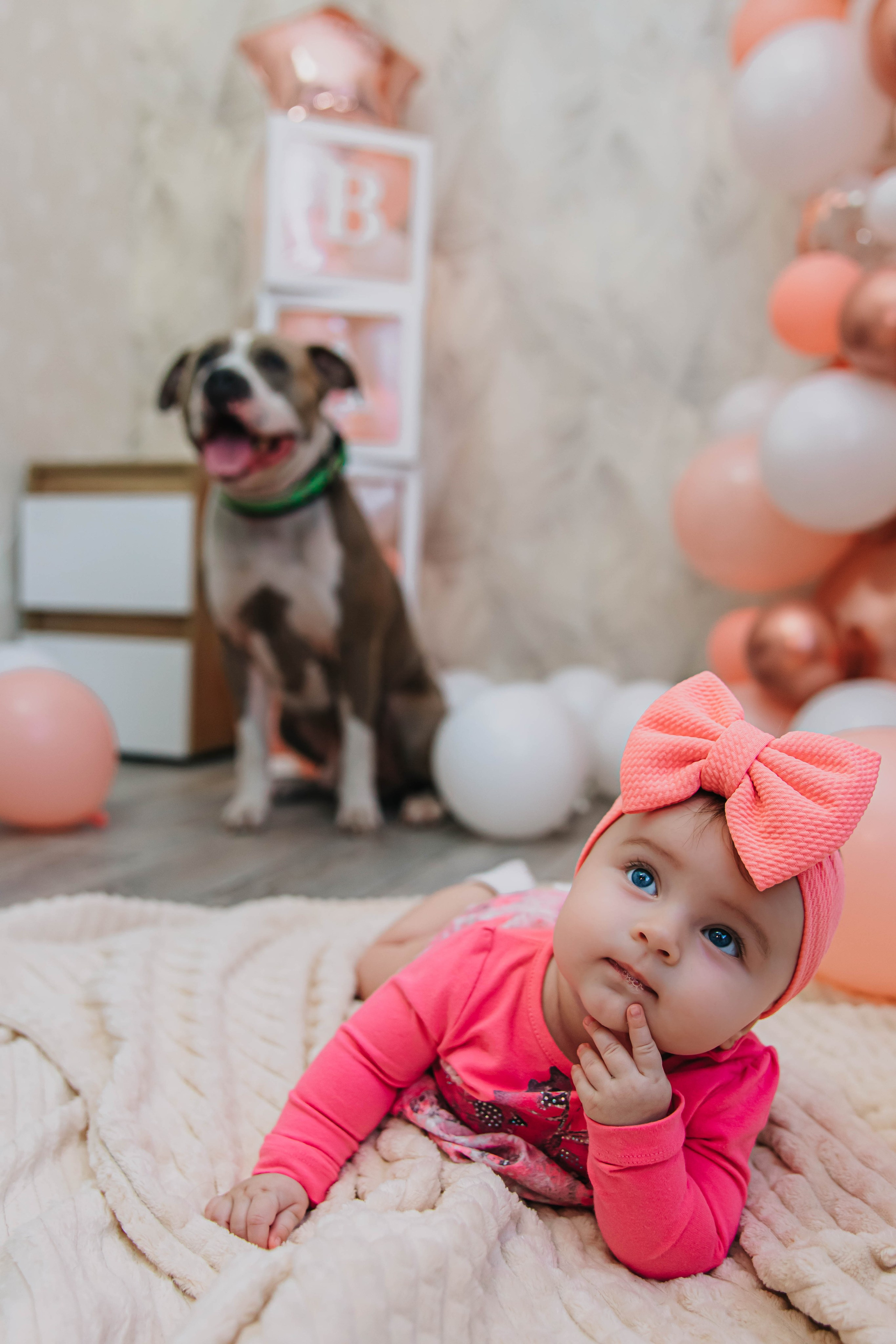 Виталине пол годика!. Фотограф Дарья Маташкова