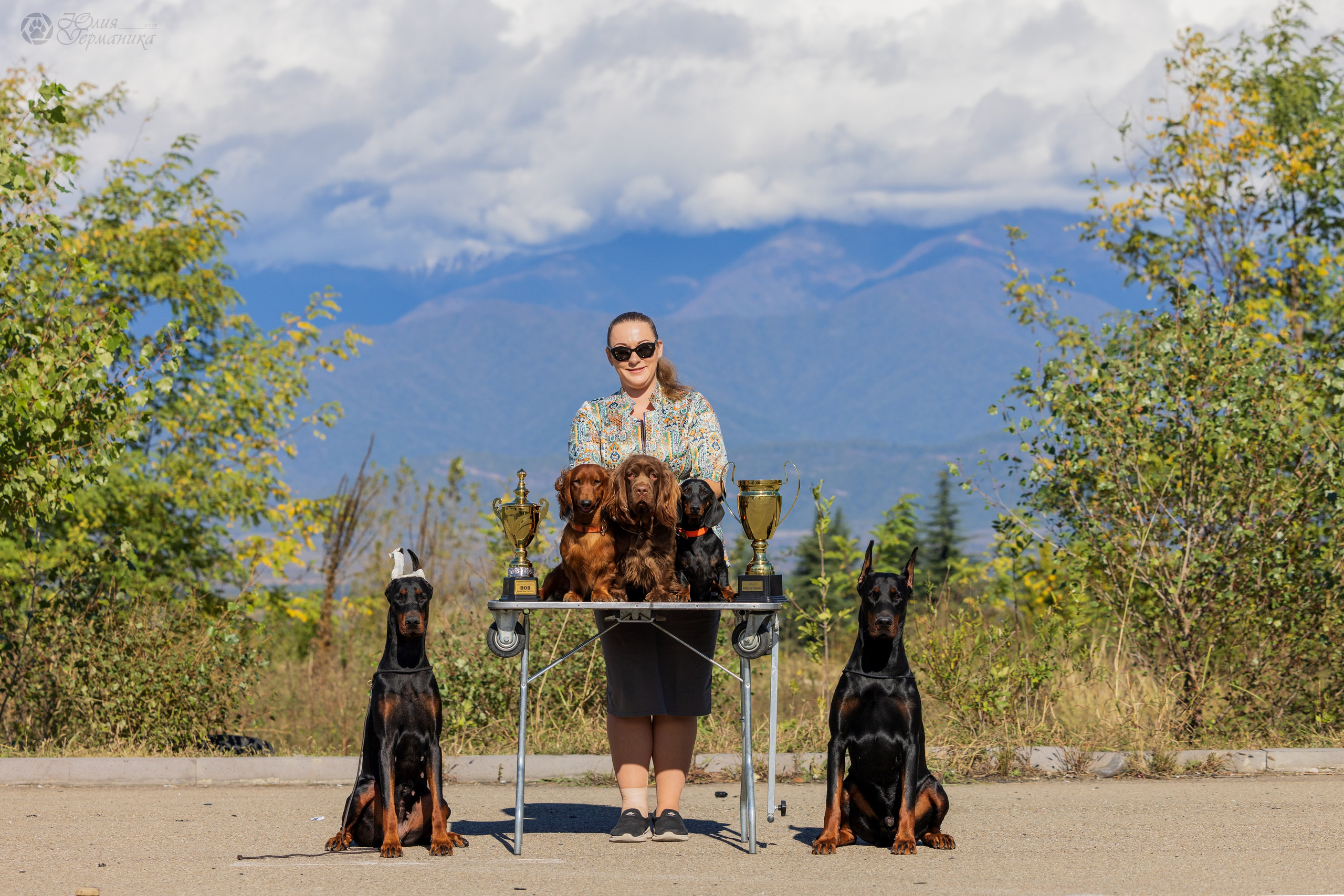 Грузия,Телави 2хCACIB 19-20.10.2024. Фотограф-анималист Юлия Германика
